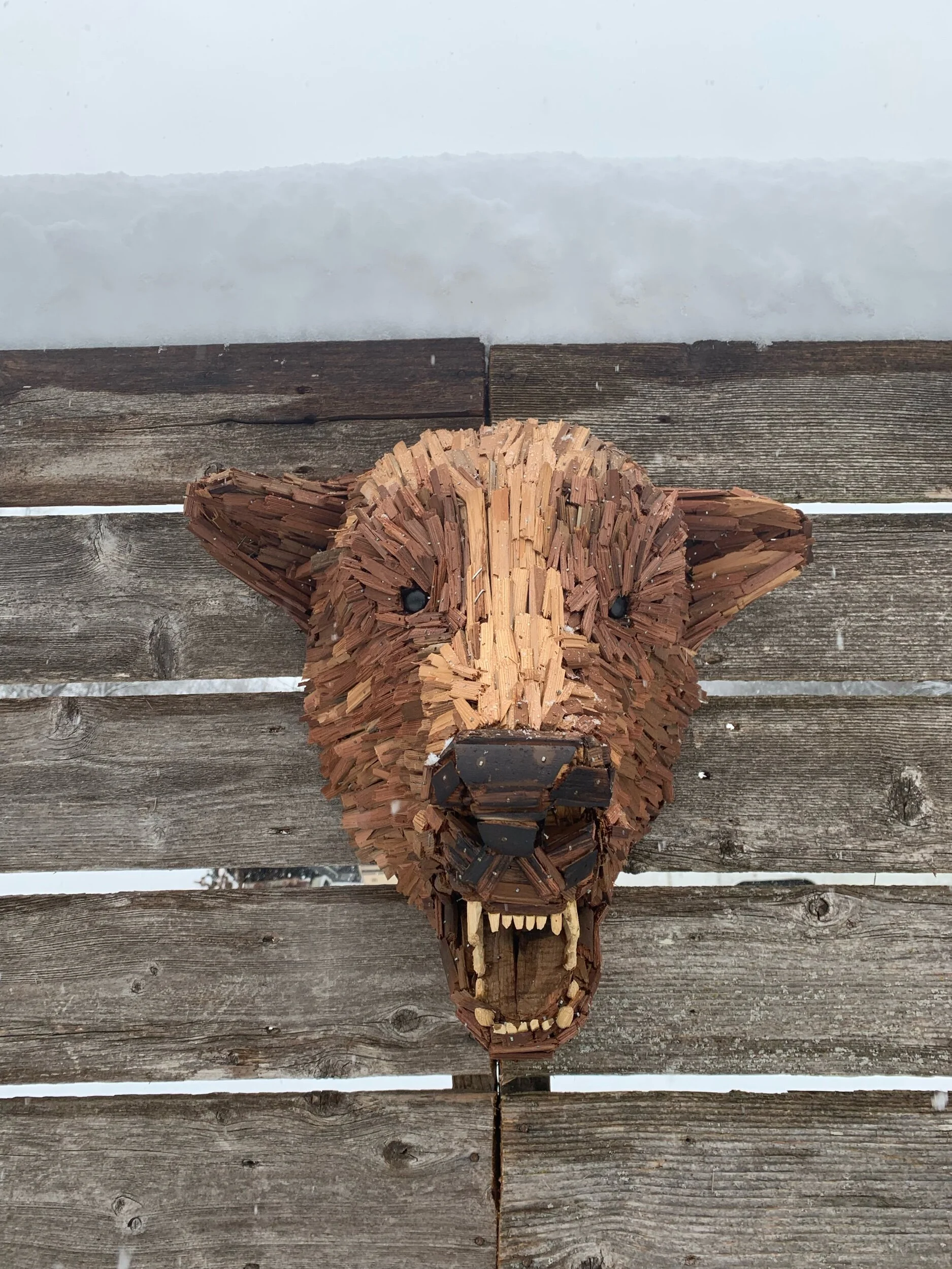 D5152C45-3AE6-4B7D-8692-4D425FABE23D