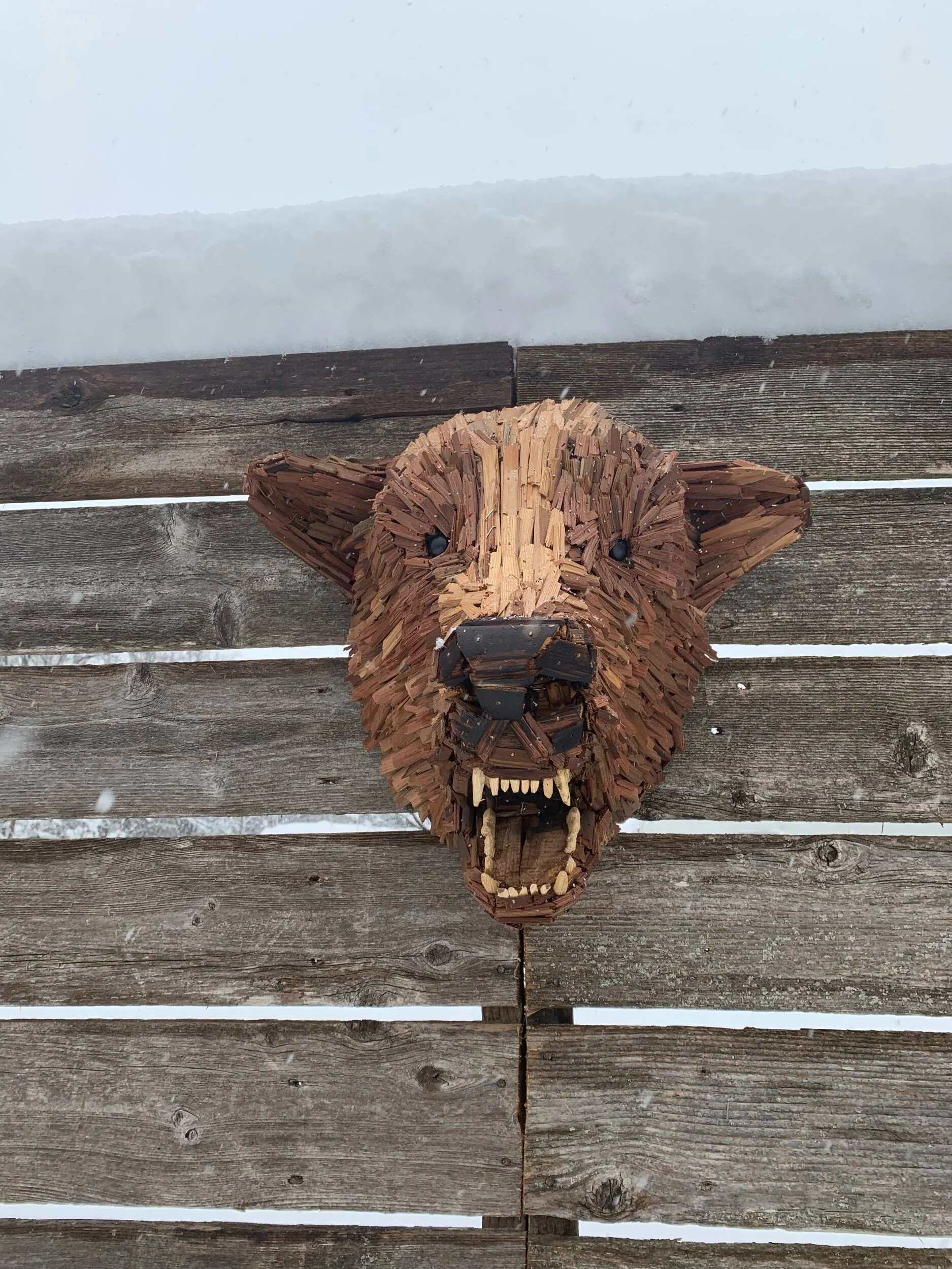 40E5557A-EF3E-478B-9D0F-1579CFC32165