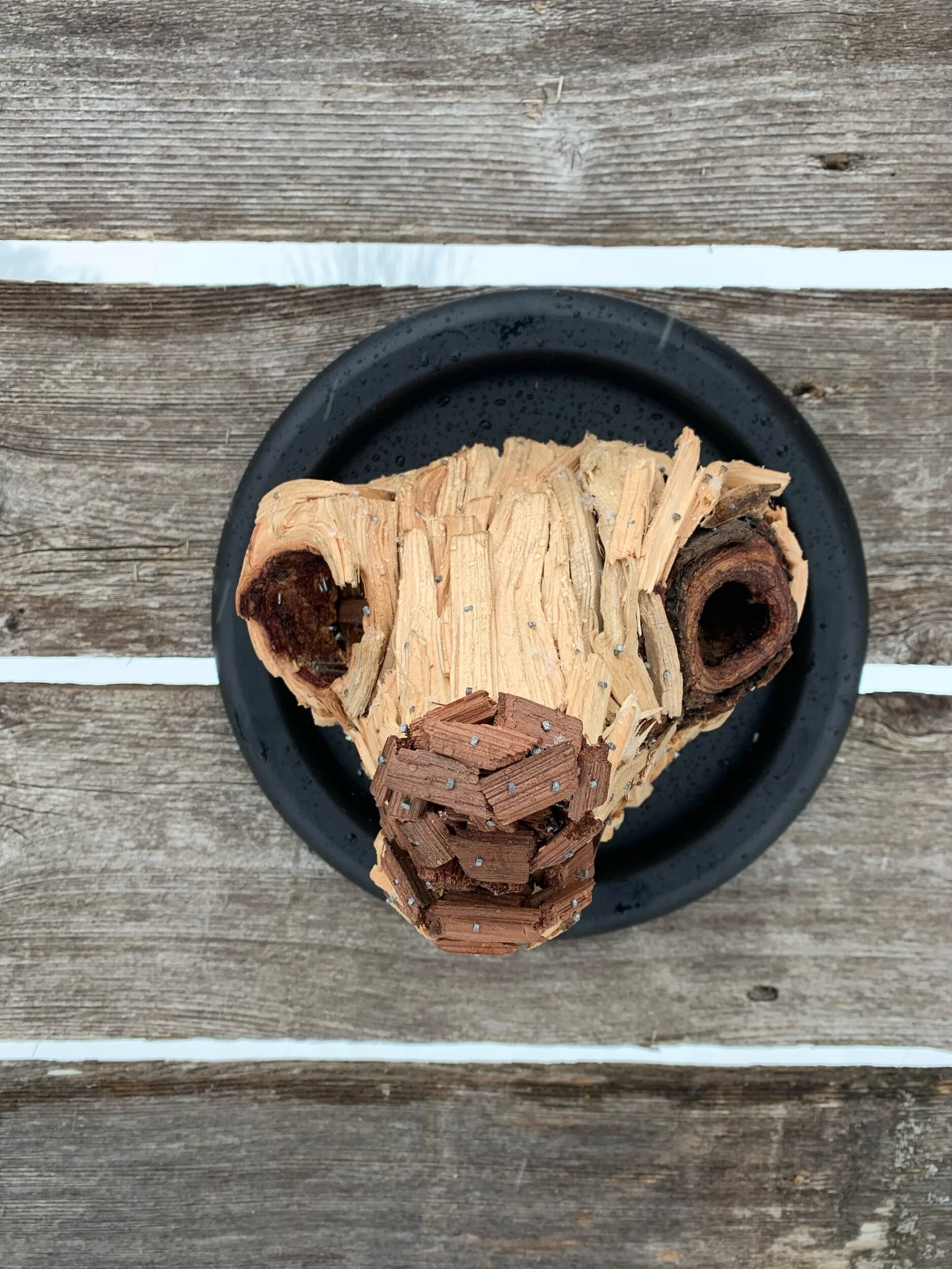 0FE340A6-19BC-4D2E-AFA1-A73B64E2863B