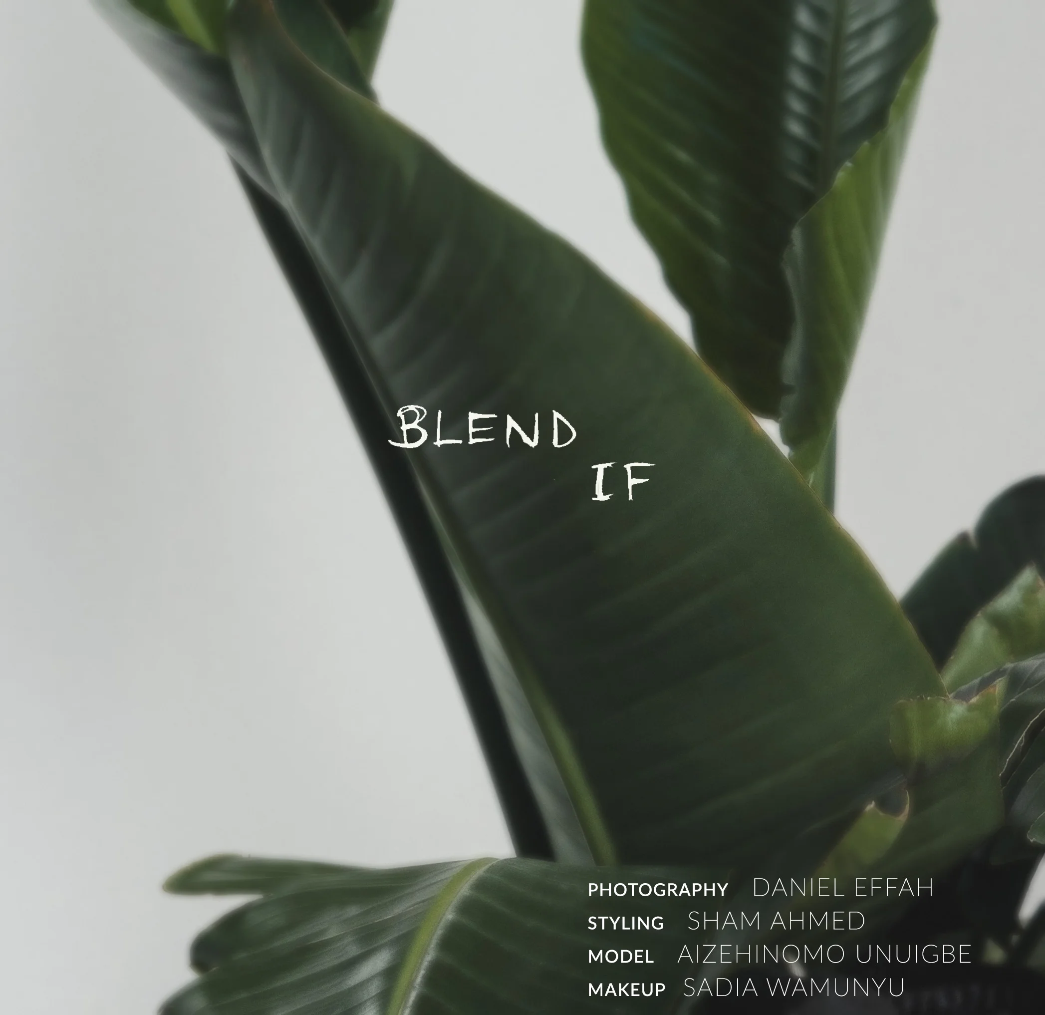 Blend If Title Page.jpg