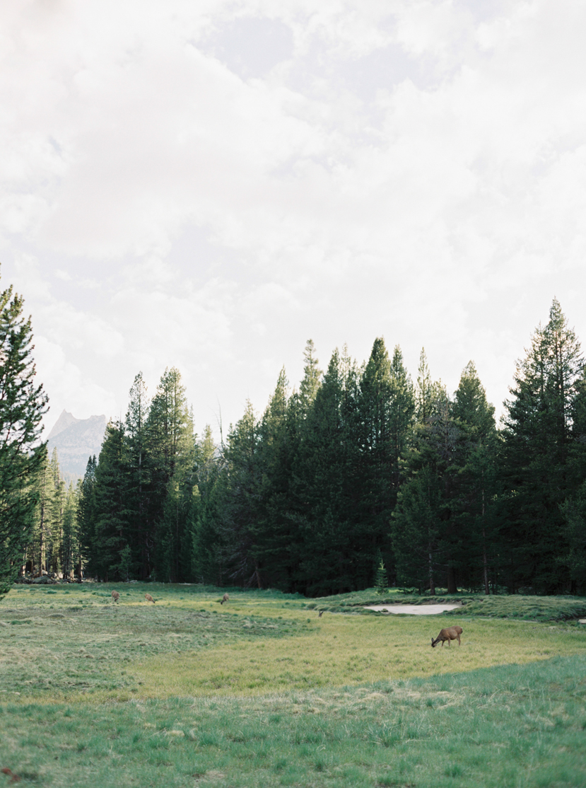 Yosemite-8.jpg