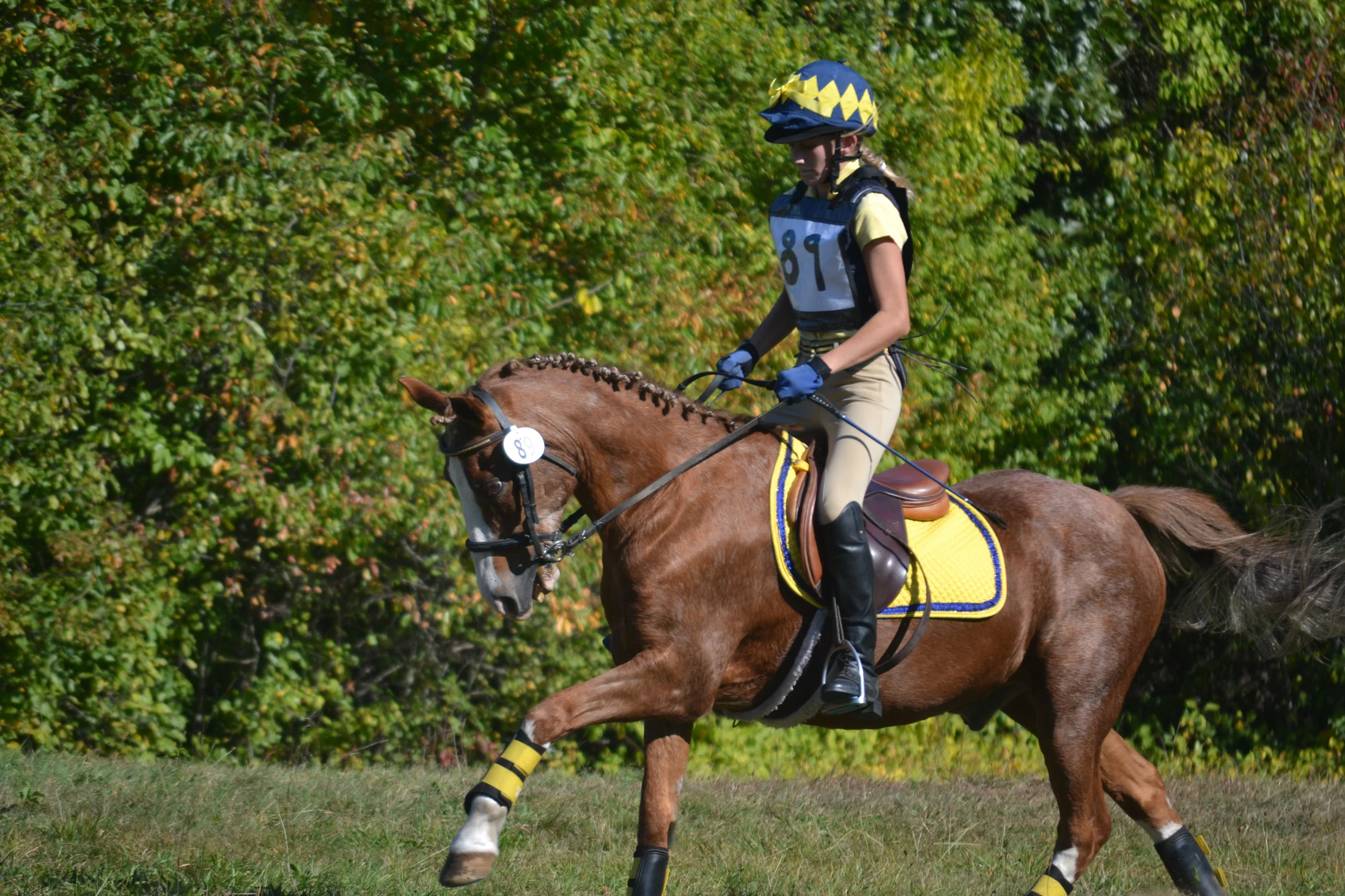showteam3-2200px.jpg