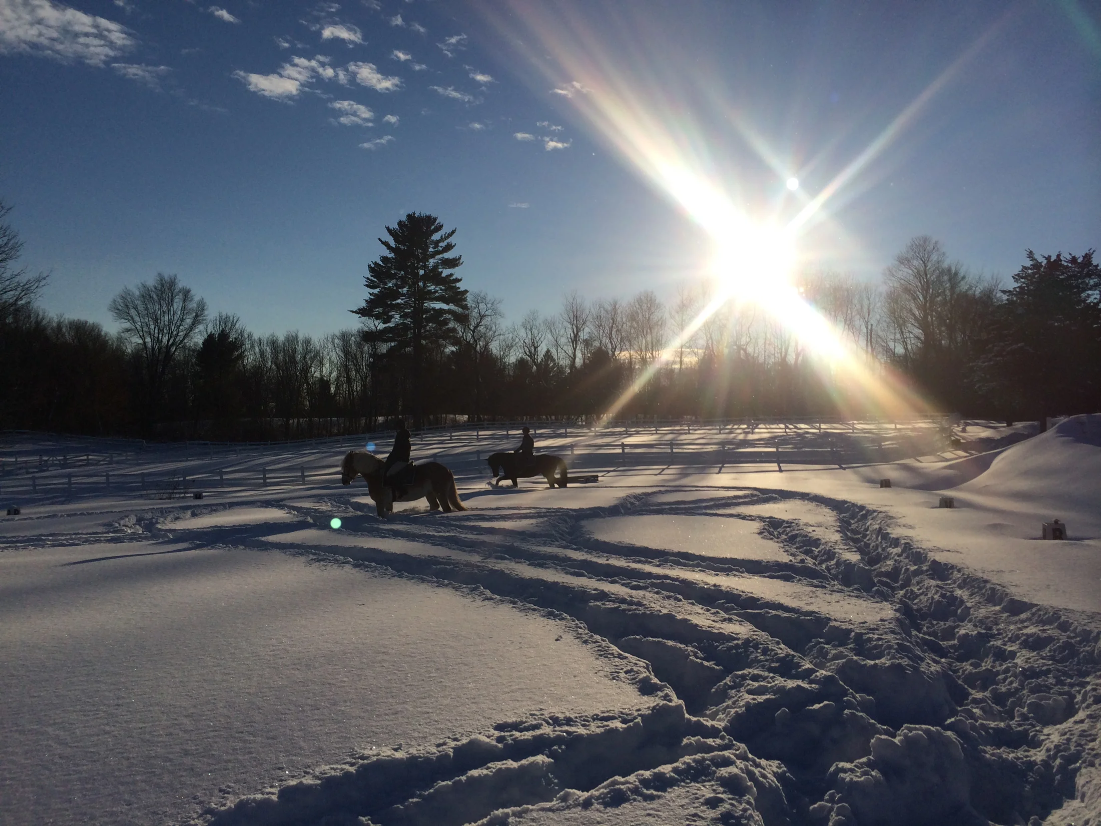 Winter-2200px.jpg