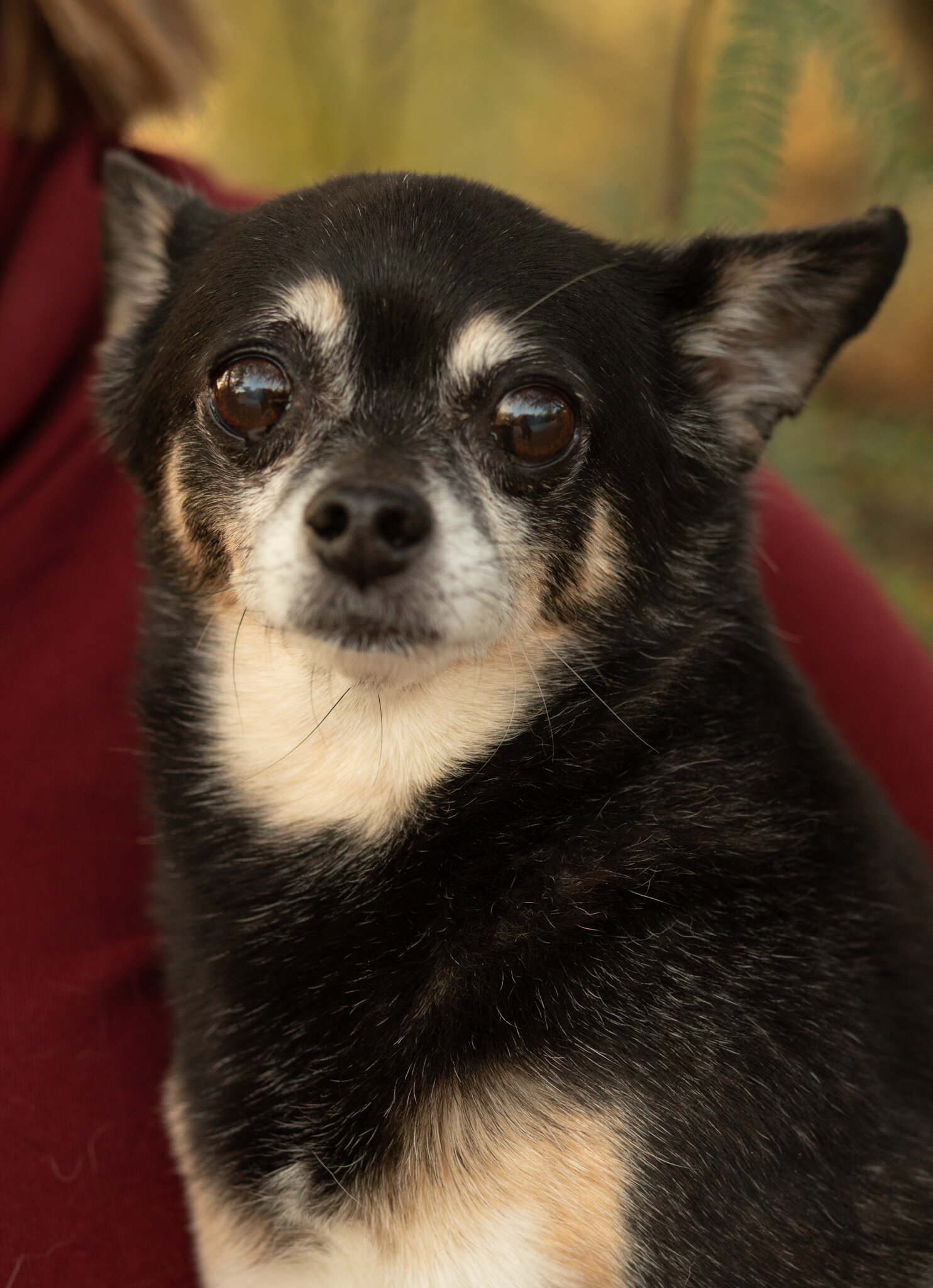 11 website edits-3.jpg