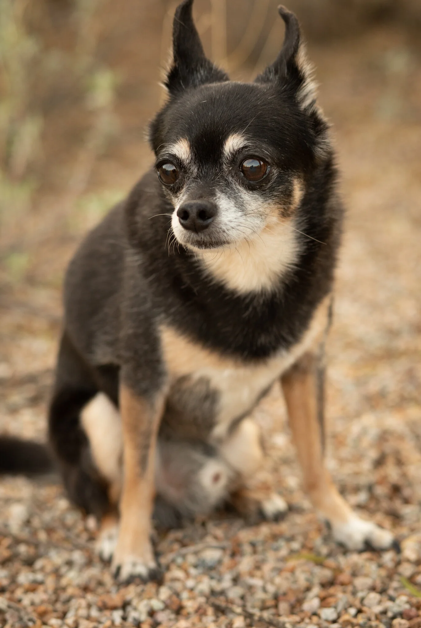 11 website edits.jpg