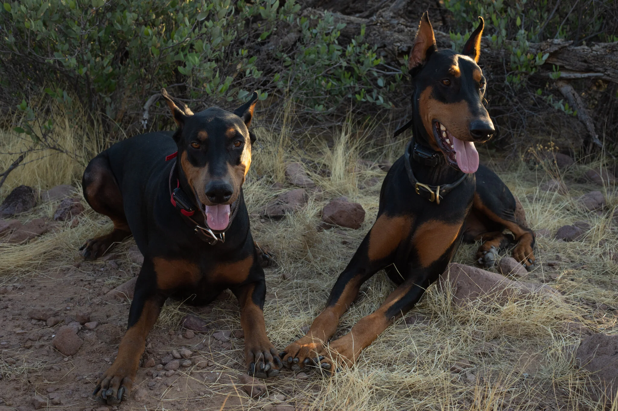 12 website edits-2.jpg