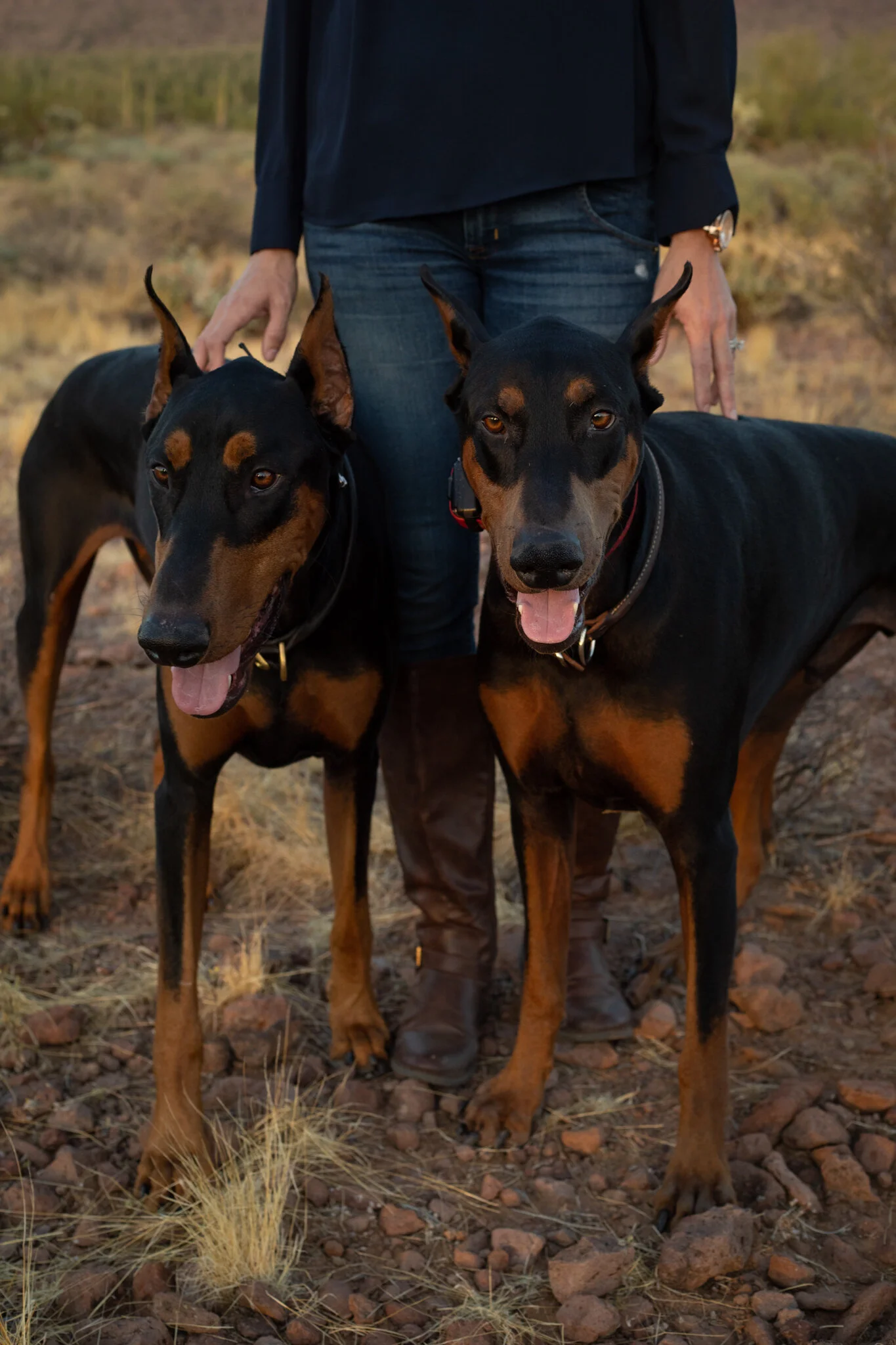 12 website edits-8.jpg