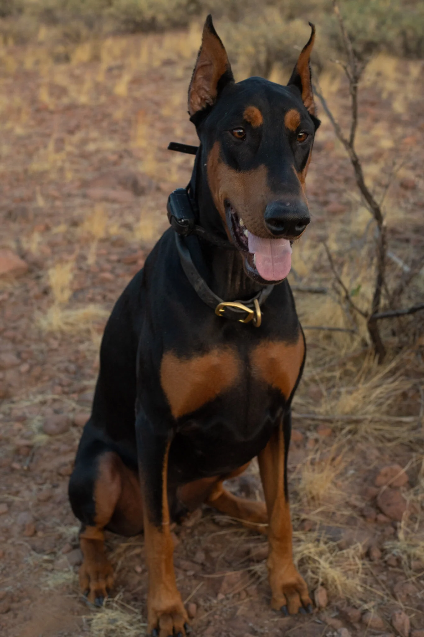 12 website edits-10.jpg