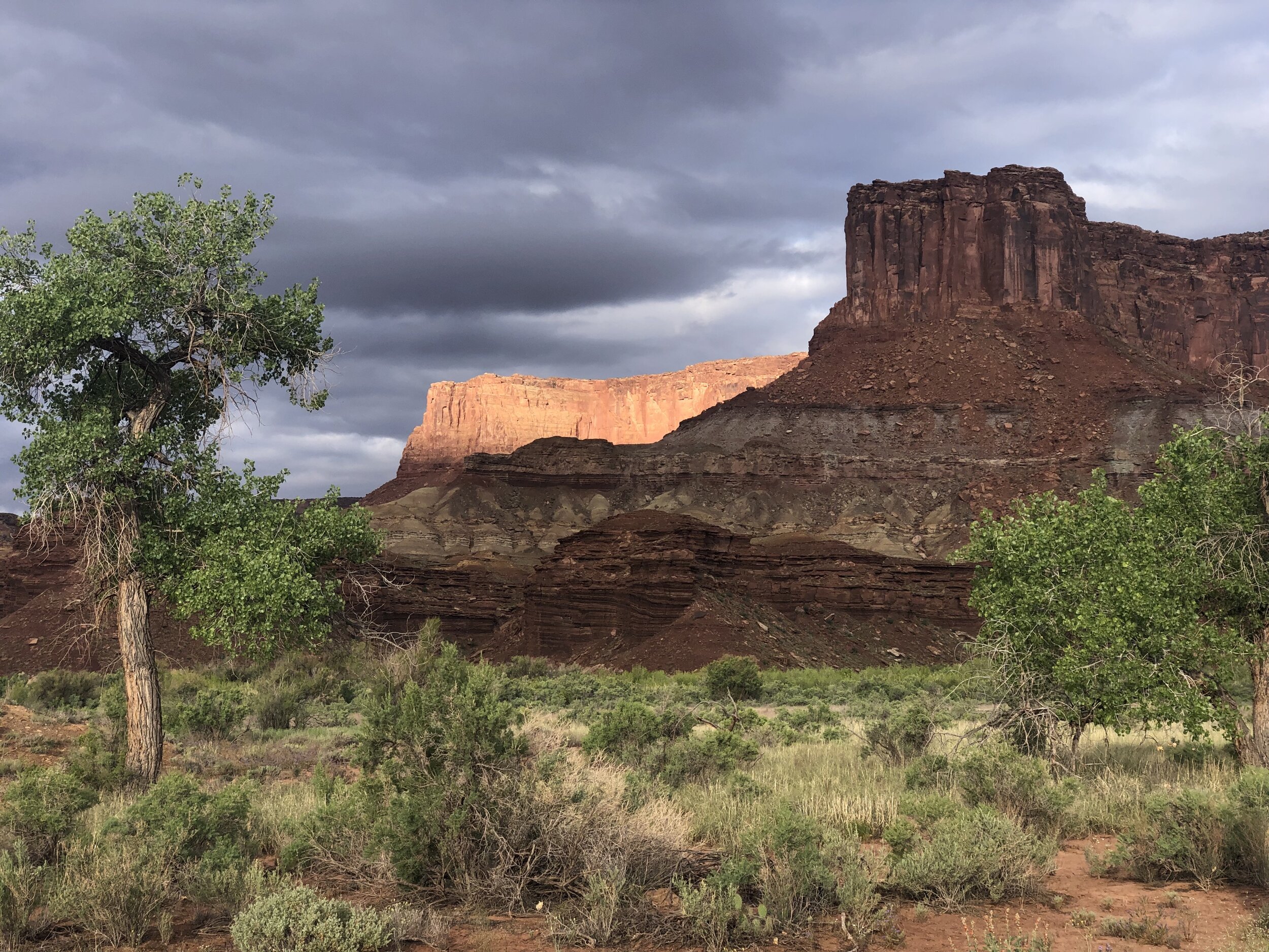 Another pic from driving the white rim trail in Canyonlands.