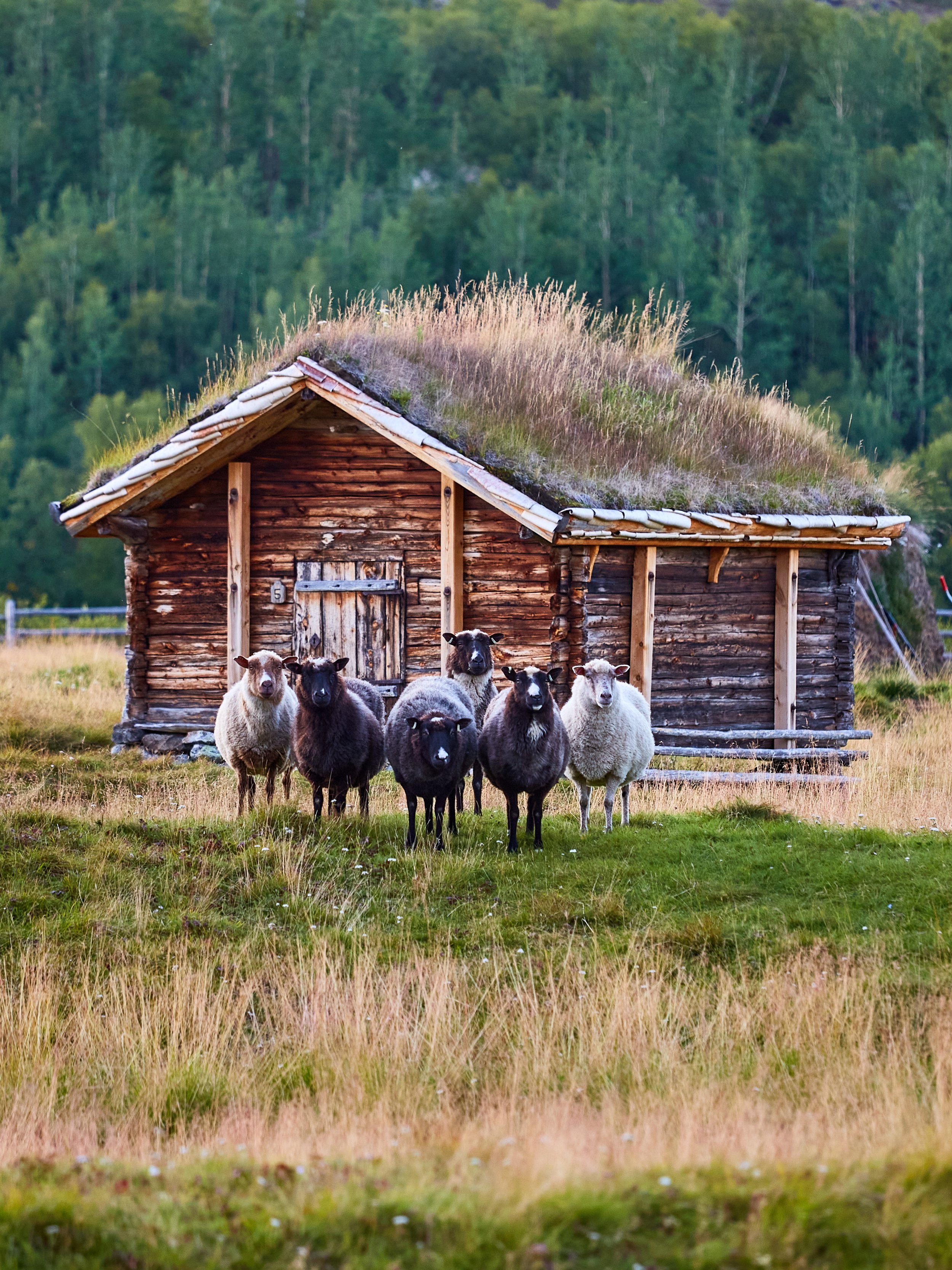 Explore Utsjoki, 2020-2022.