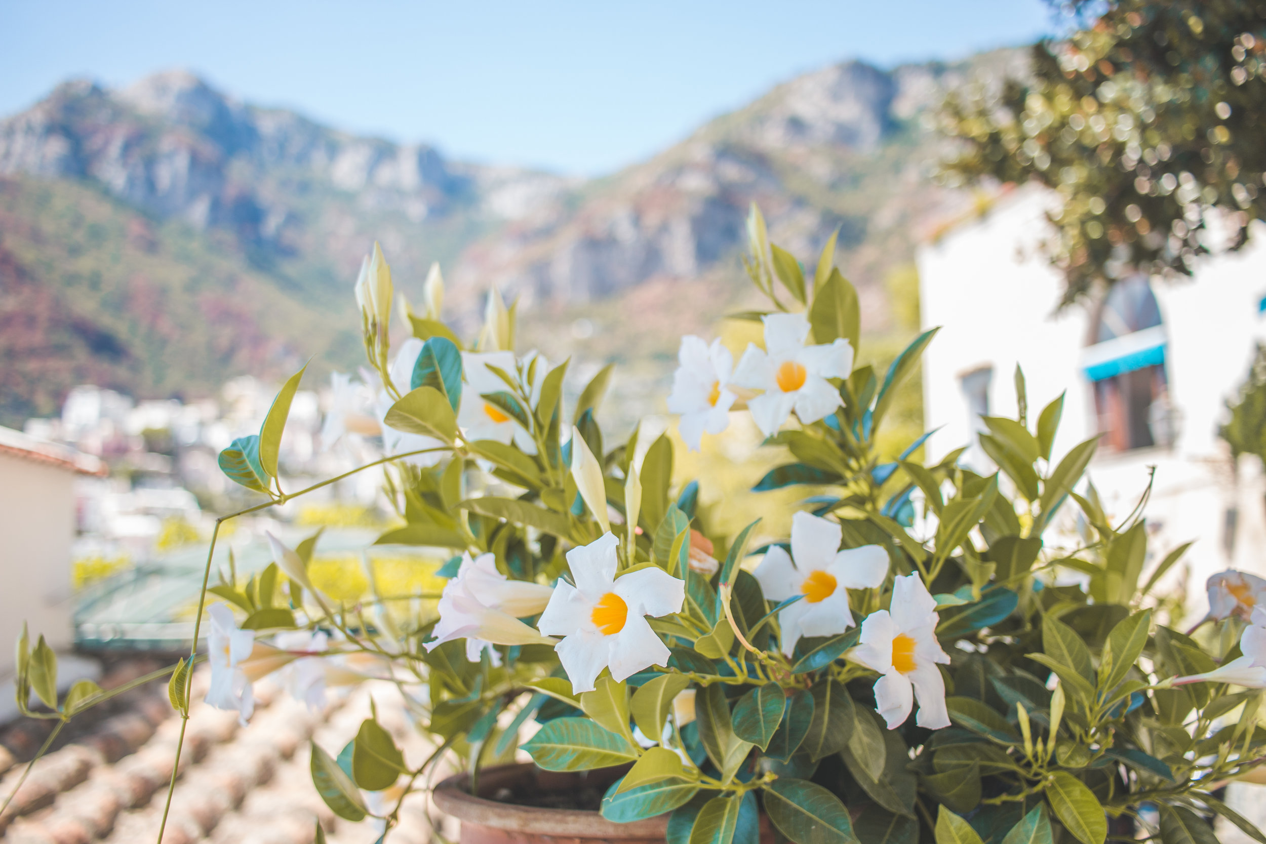 Positano-45.jpg