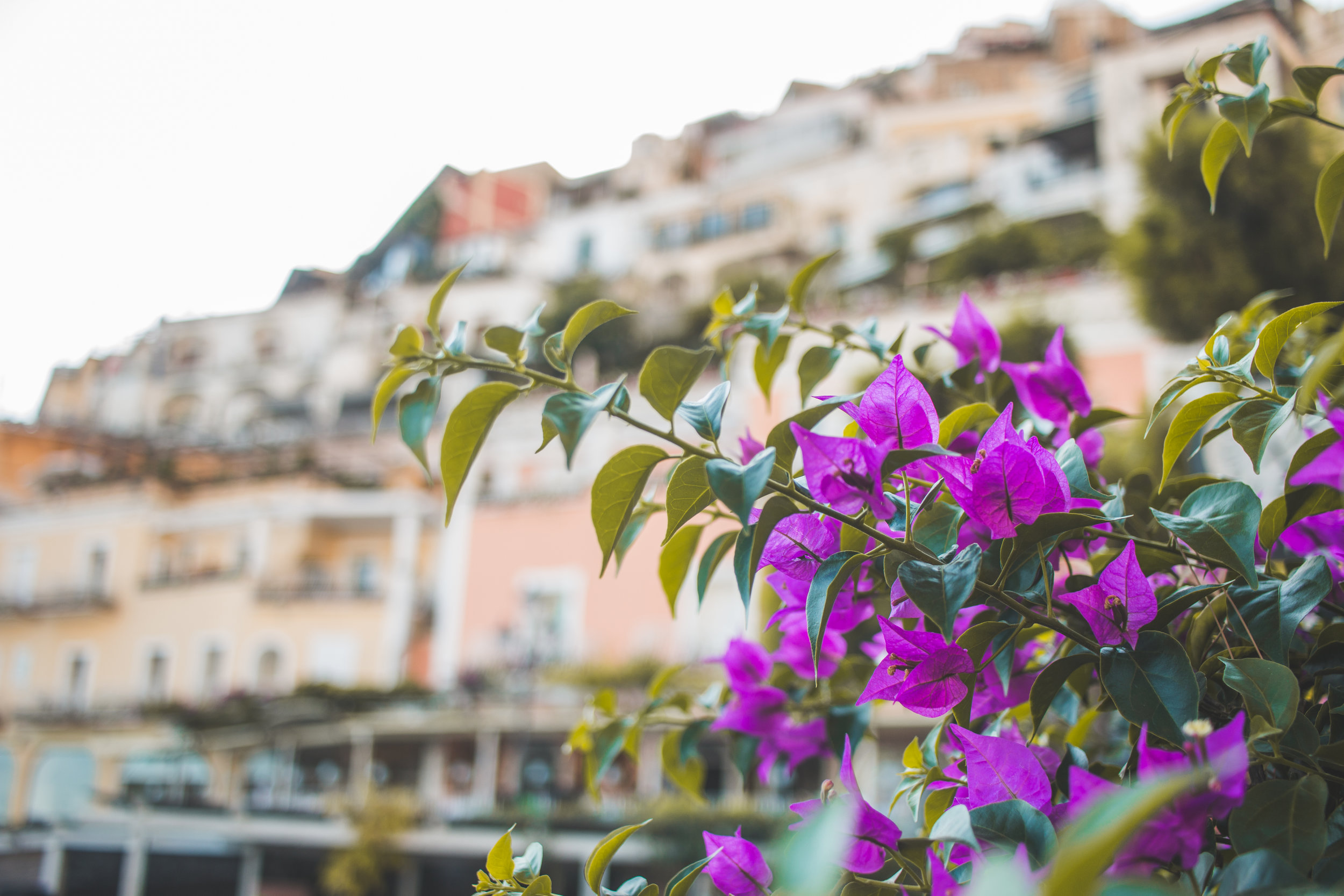 Positano-64.jpg