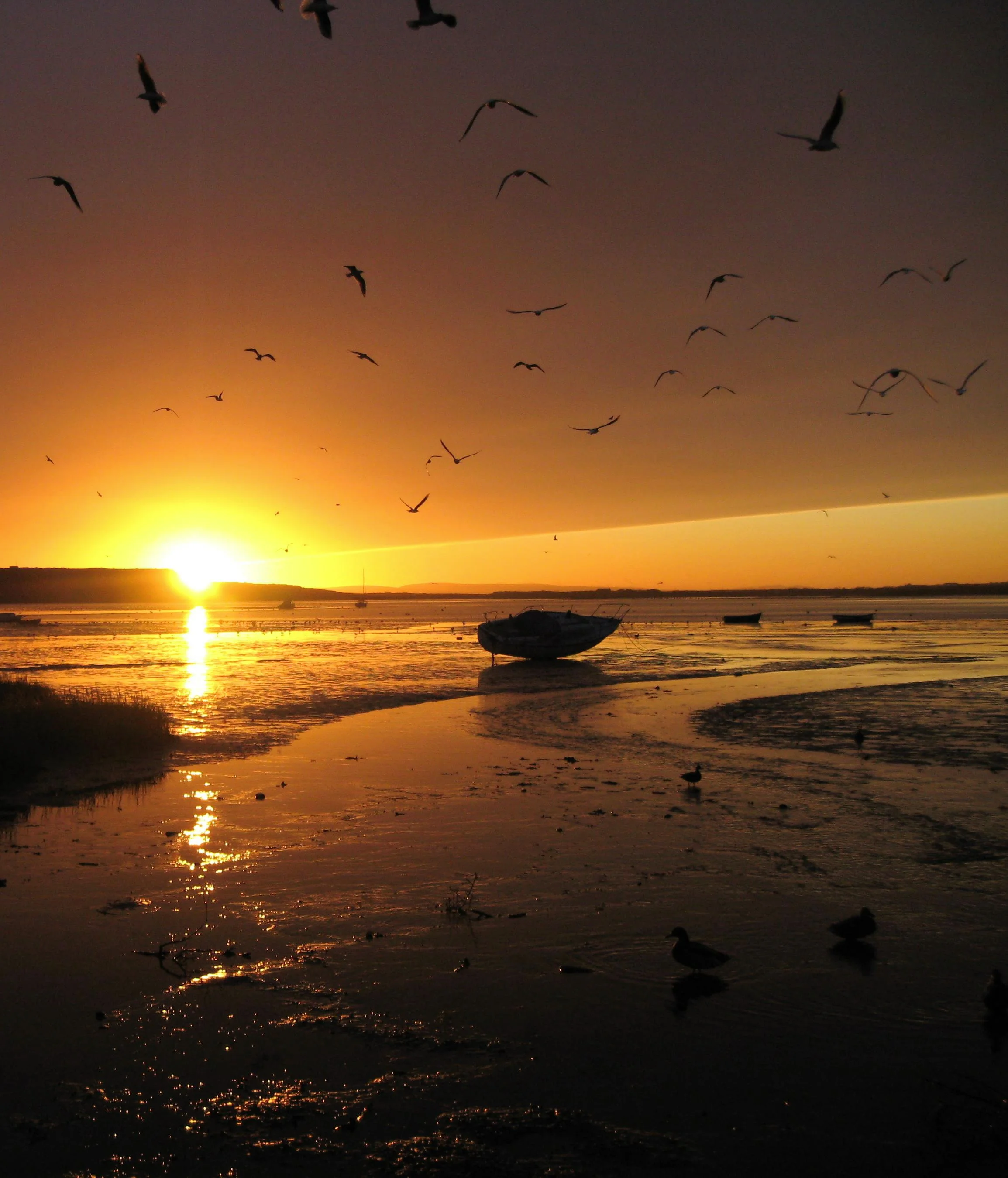 sunset.JPG
