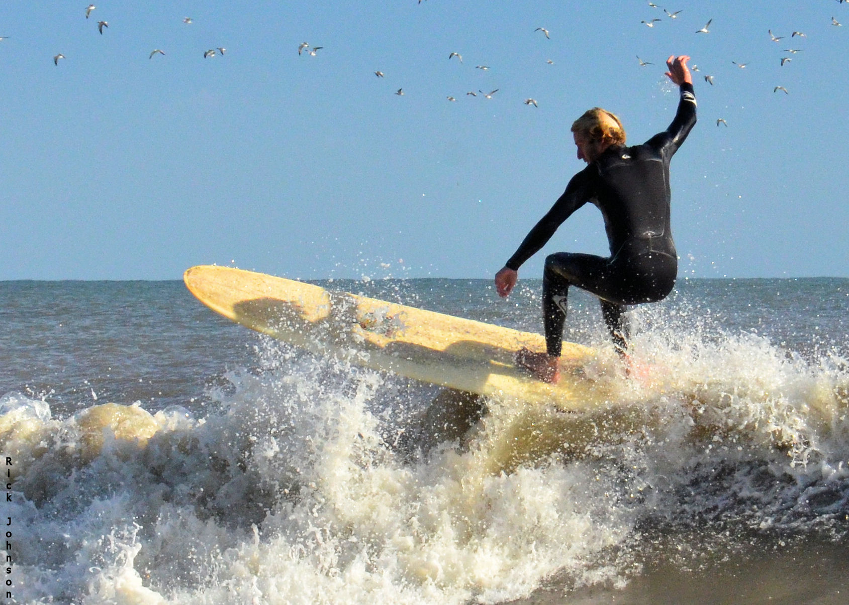 Folly Beach 11_2_13