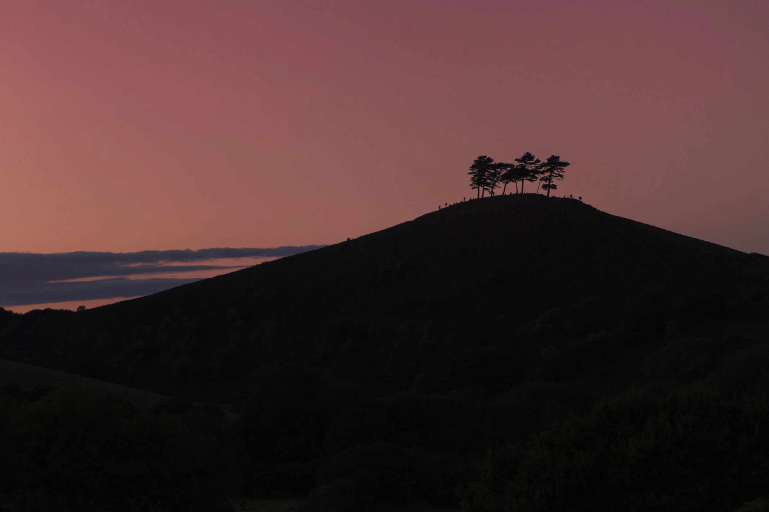CCI - Landscape-7822.jpg
