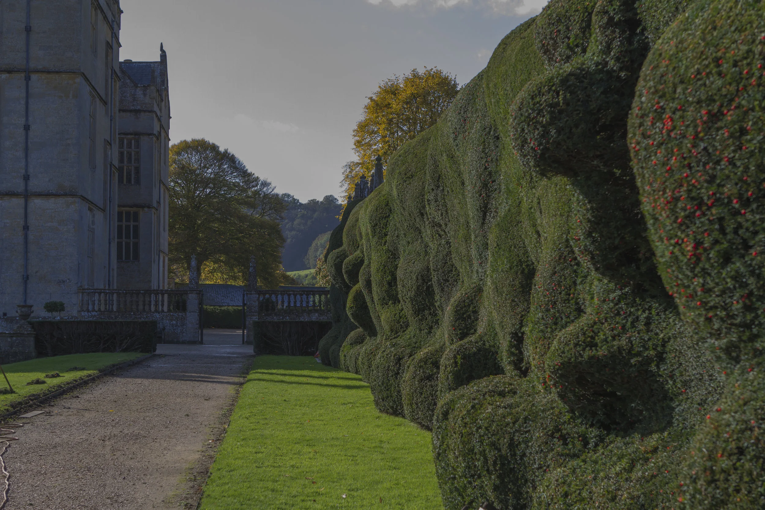 CCI - Architecture-8697.jpg