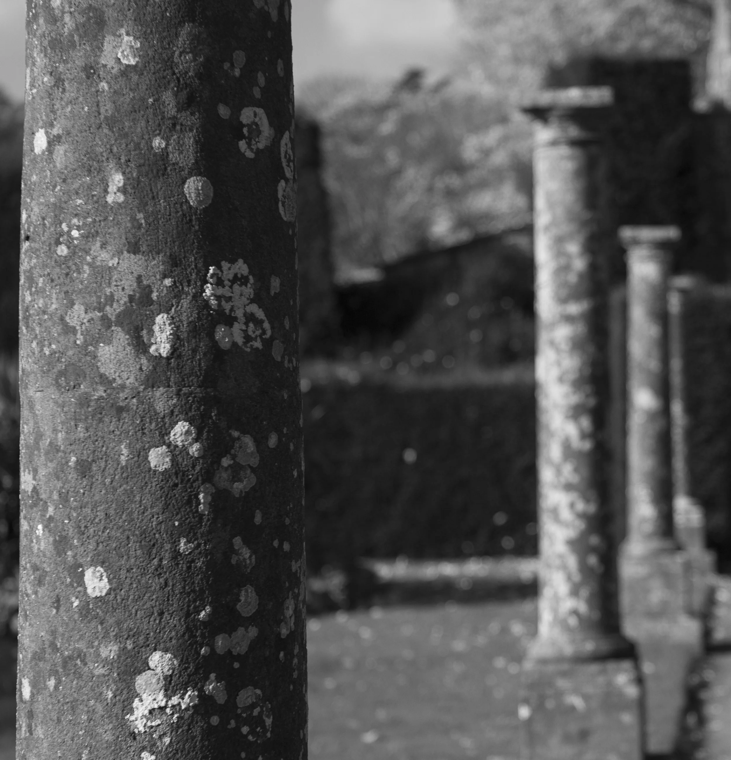 CCI - Architecture-8801.jpg