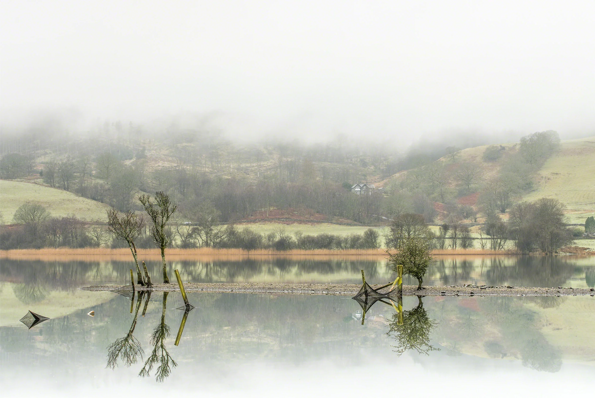 _CI_1220-Edit - Low Res.jpg