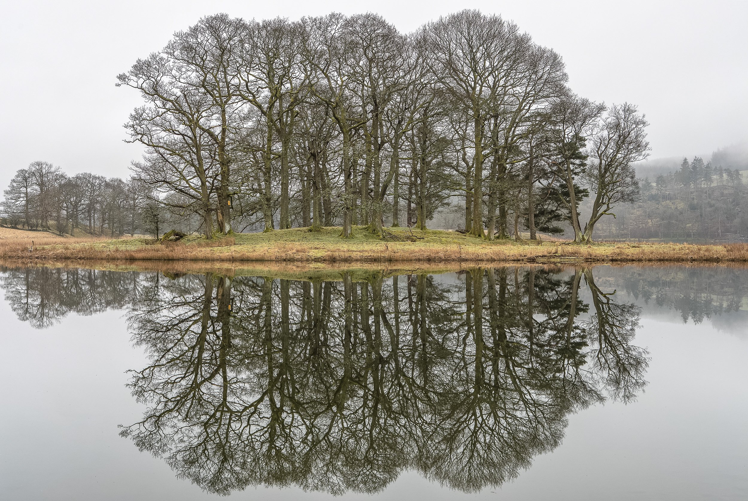 Esthwaite Water Reflections - Low ResLake District Web Image.jpg