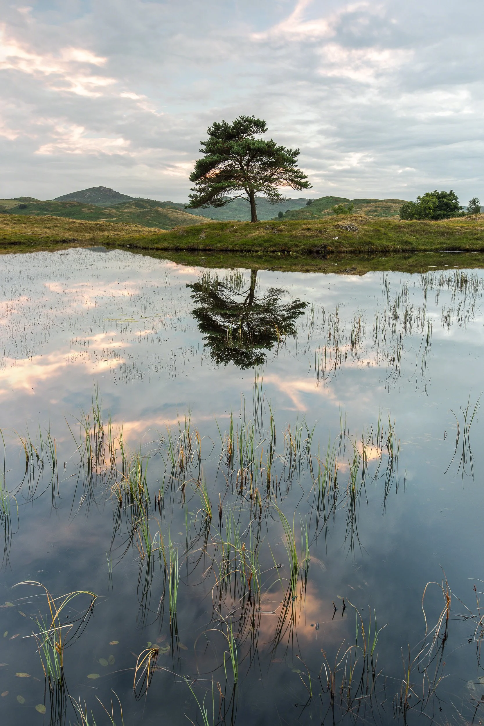 Reflections at the Hall - Full ResLake District Web Image.jpg