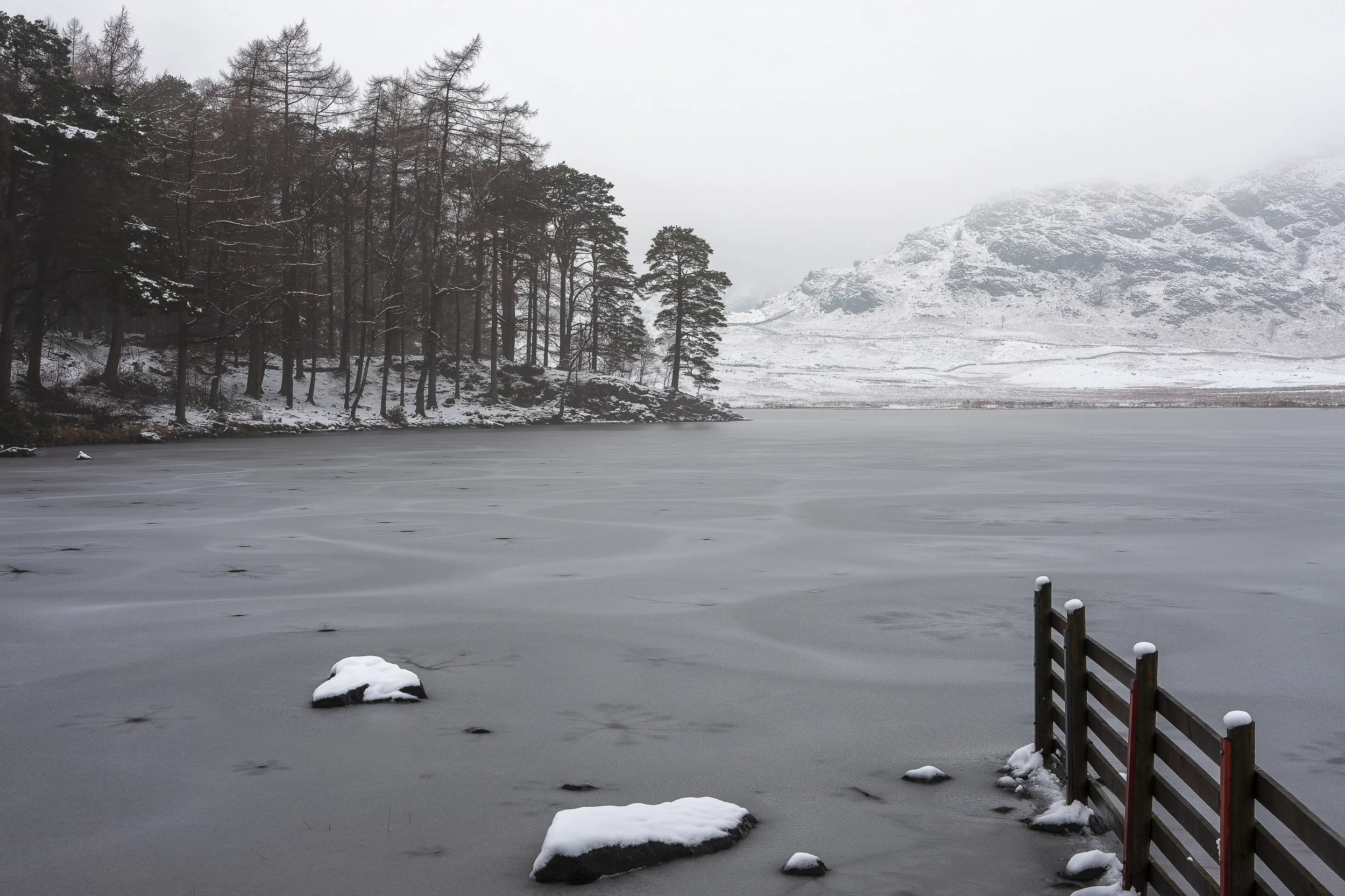 Frozen Blea Tarn Pine-2 - Full ResLake District Web Image.jpg