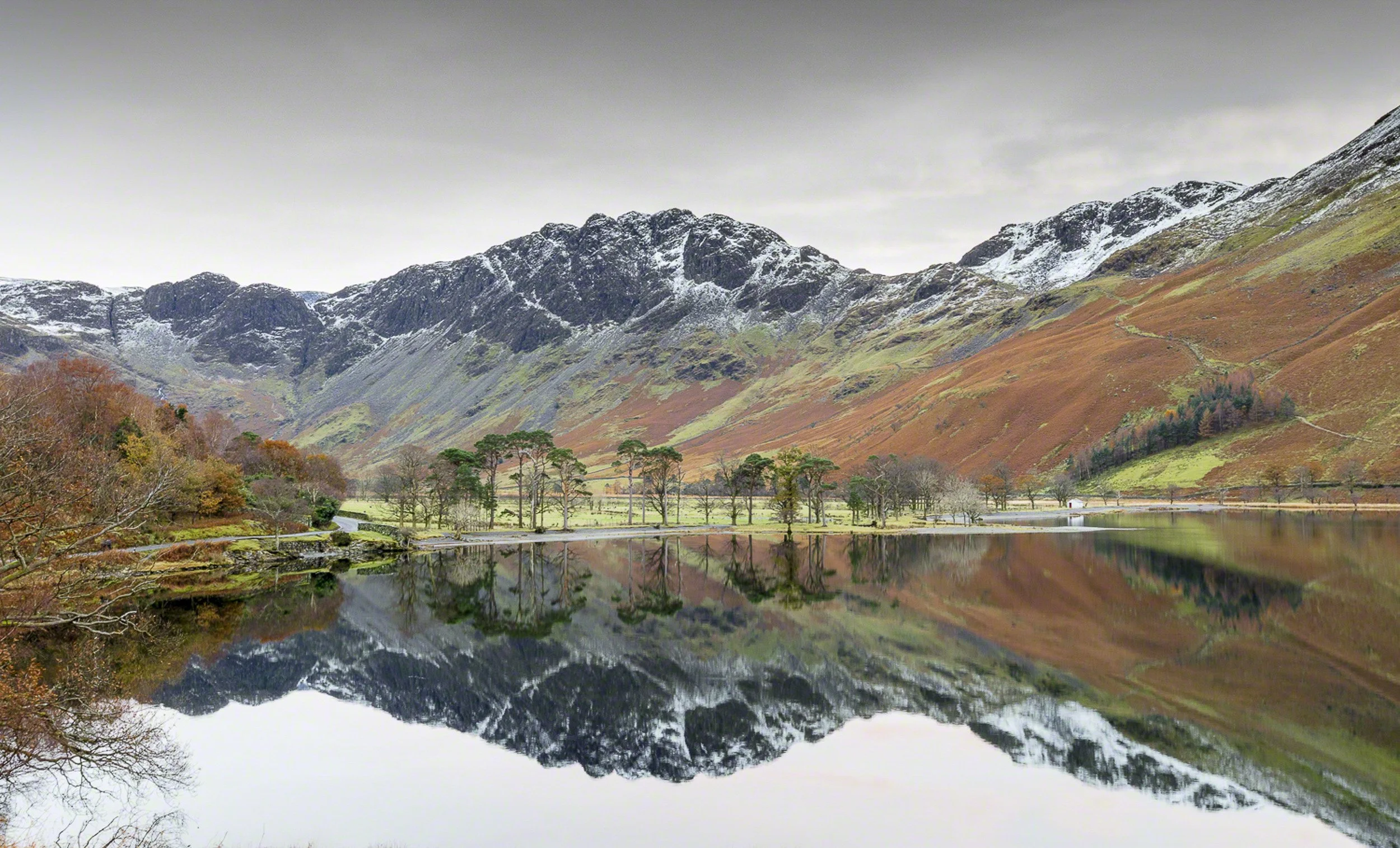 Haystacks over Buttermere Pines -2Winter.jpg