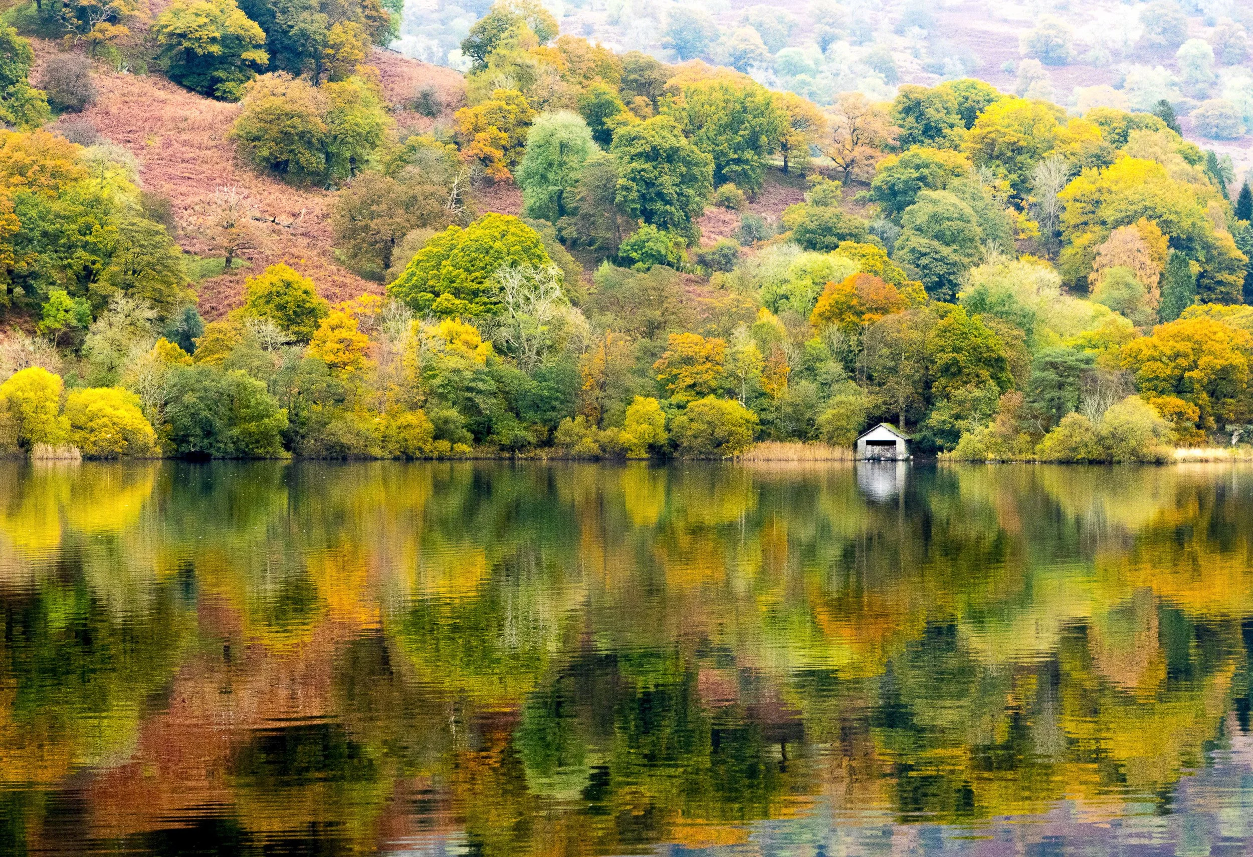 Rydal Water in Autumn-8Autumn.jpg