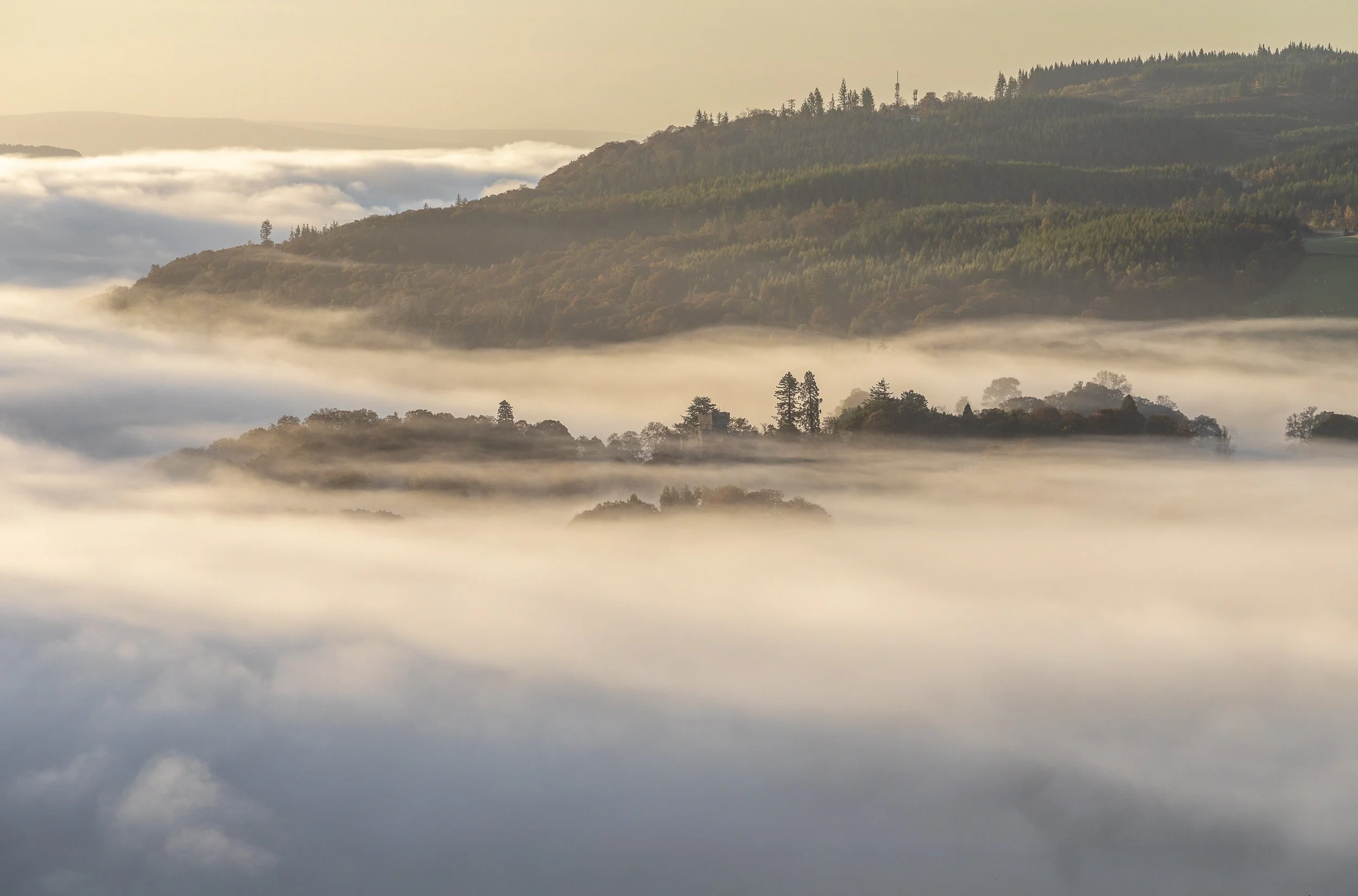 The Persistent InversionAutumn.jpg