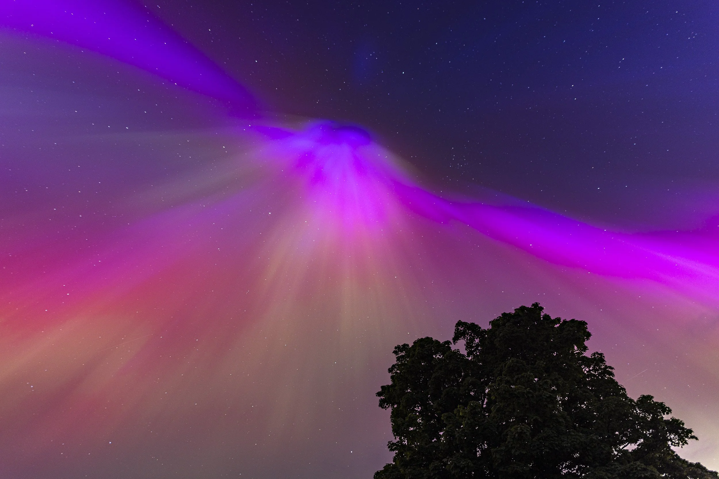 Aurora Whale-3 - Full Res.jpg