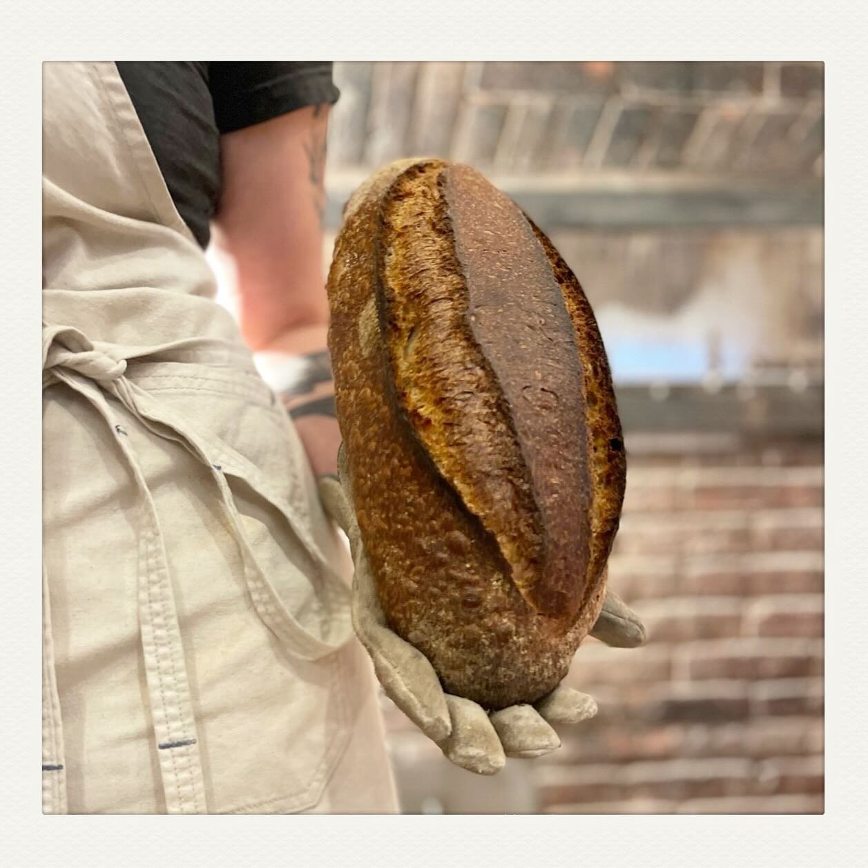 Country French (Organic Redeemer Wheat @nittygrittygrain/ Organic Rye @thornhillfarmvermont / Organic Bolles Wheat #morningstarfarm) If you&rsquo;re a member of @petes.greens CSA, these beauties are headed your way&hellip; #stoneground #millyesterday