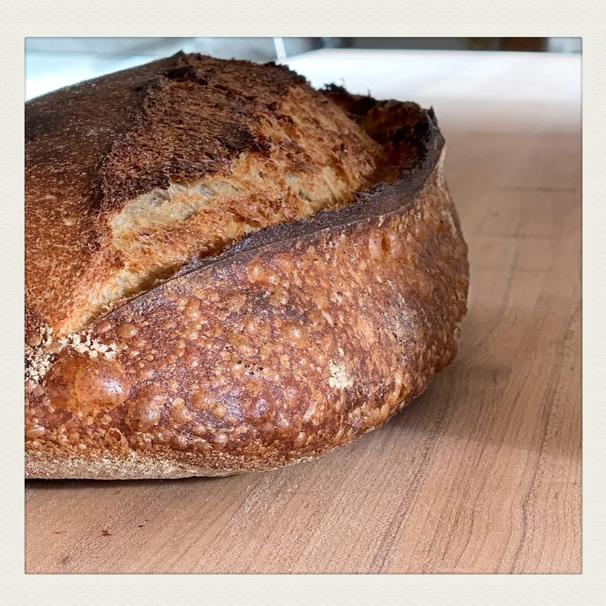 We&rsquo;re back!  Warm bread will be on the shelves early afternoon today.  #woodfired #millyesterdaybaketoday