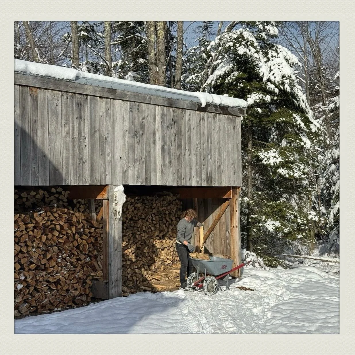 Mill, mix, shape, bake, deliver, repeat.  And&hellip;move firewood. @_.__kt #woodfired #keepitlocal
