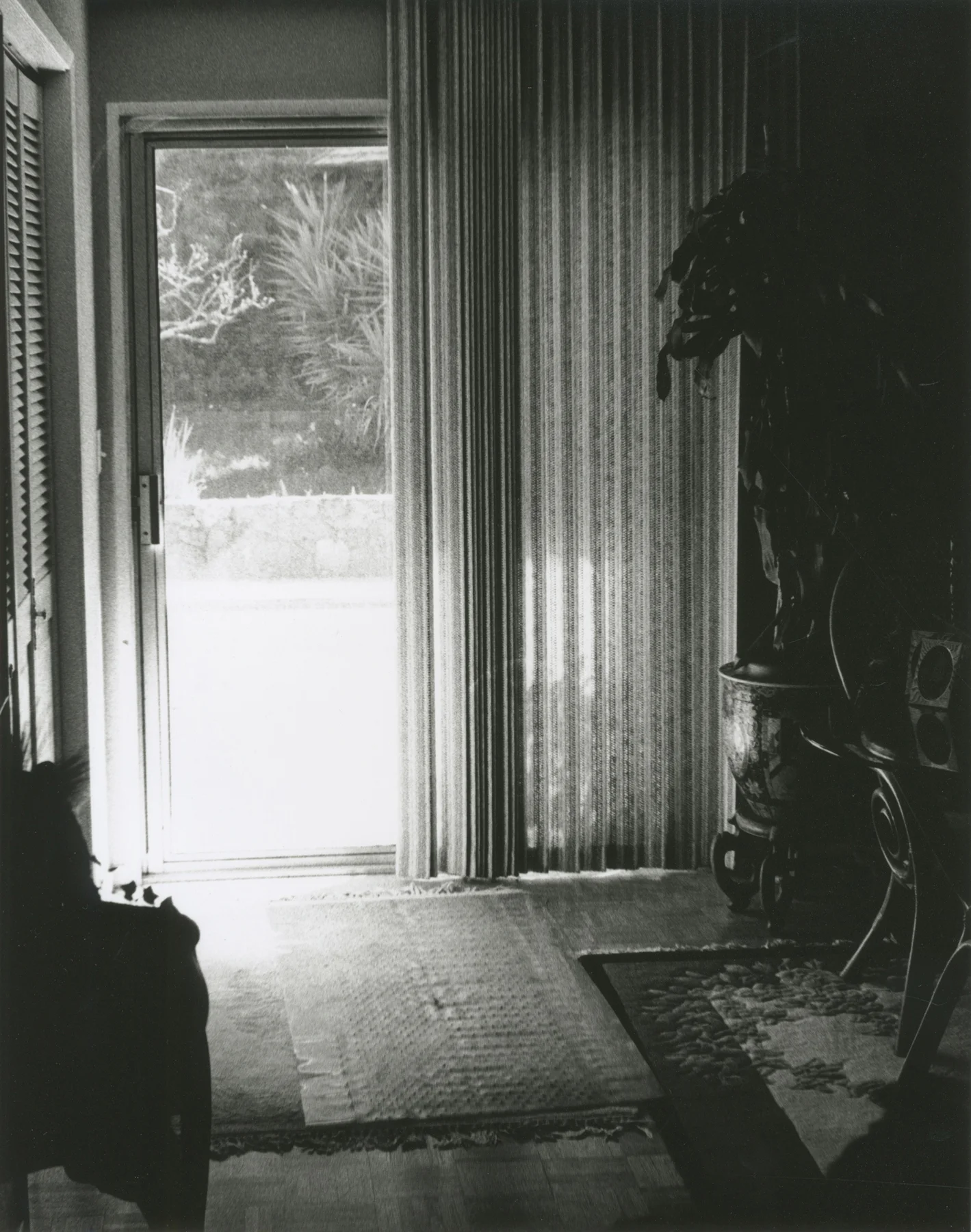 Scan     6 copy copy.jpg