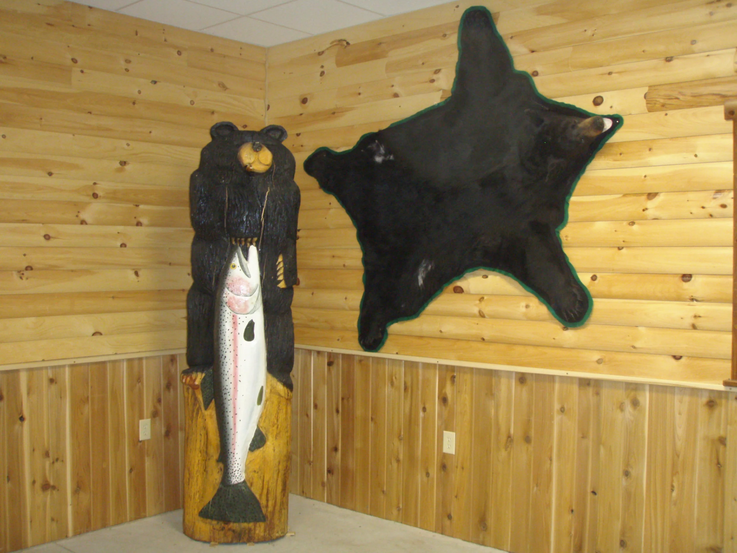 Meet Our New Manistee Conservation District Forester