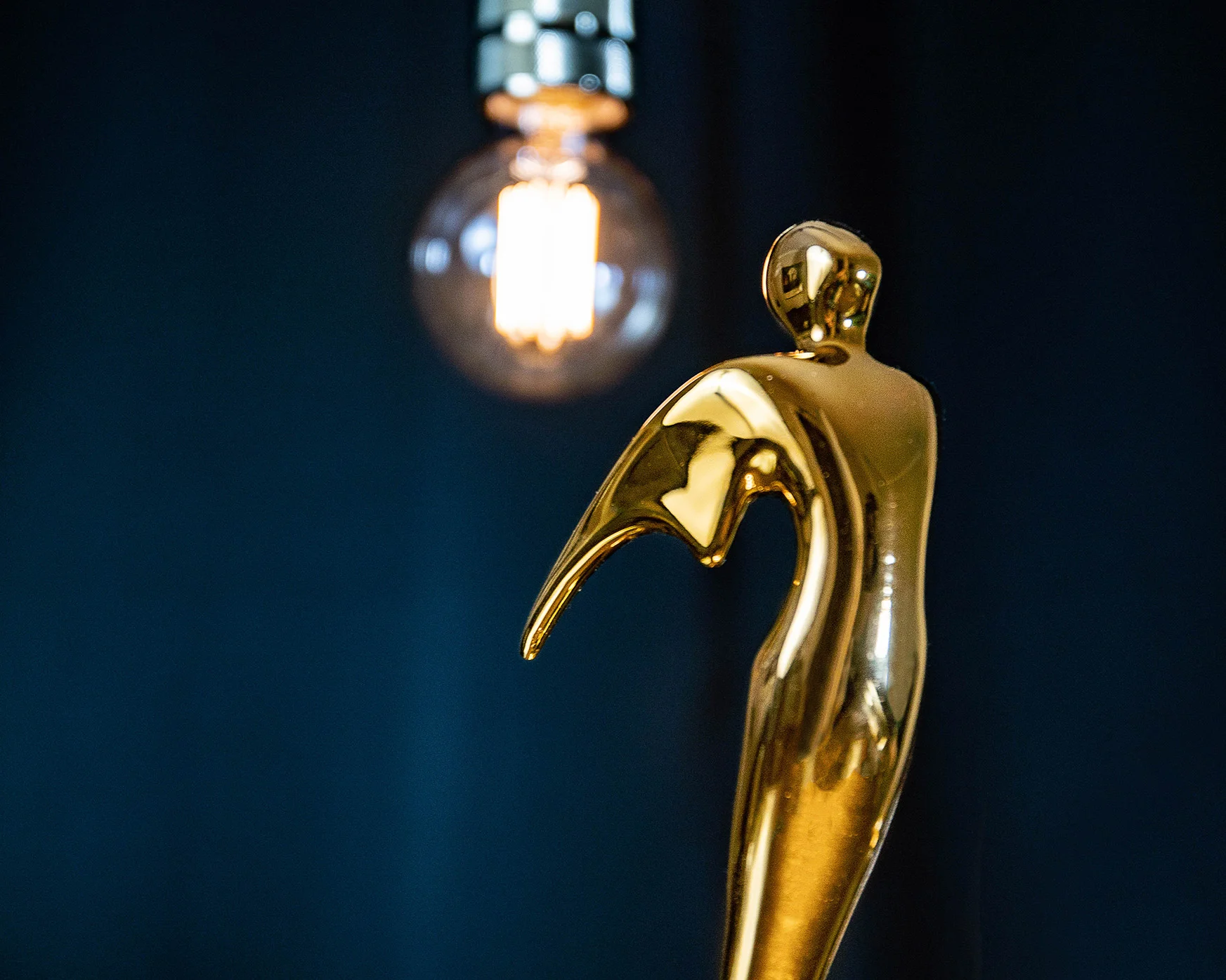Erudite_Pictures_Award_Winning_Content_Strategy_Consultancy_Telly_Award_Ka-Lok_Ho.jpg