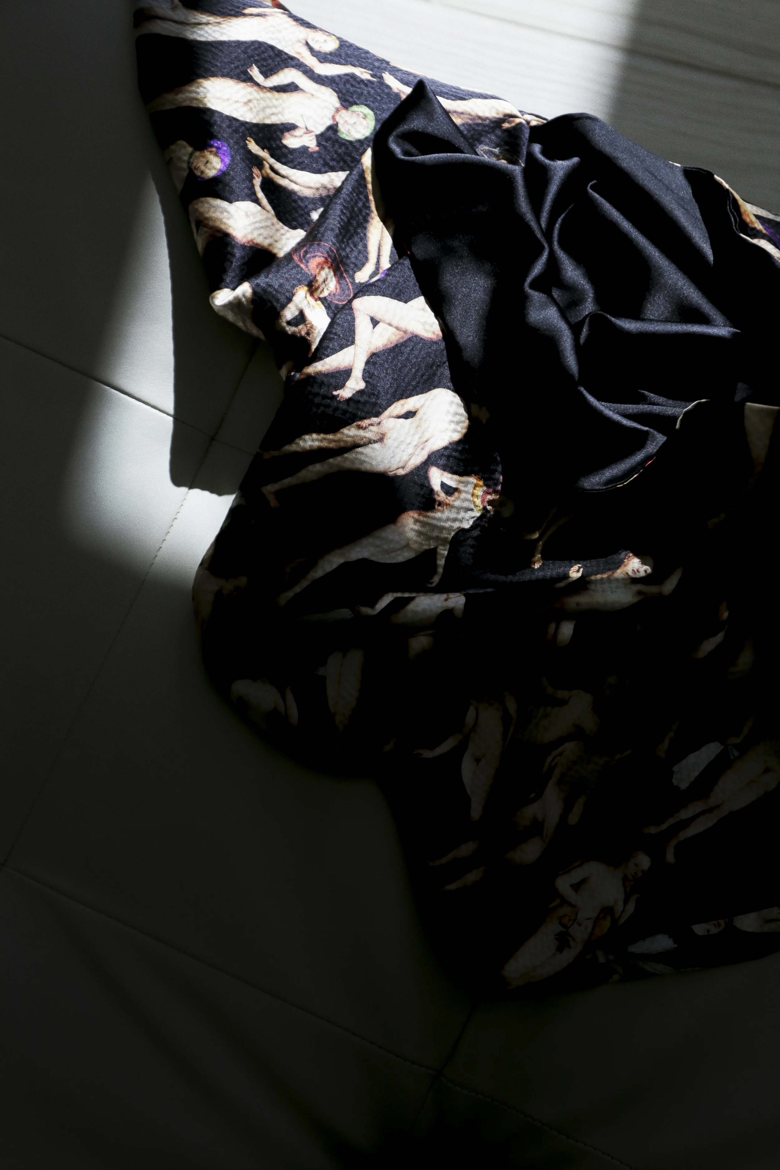 Venus_Still_Life3.jpg