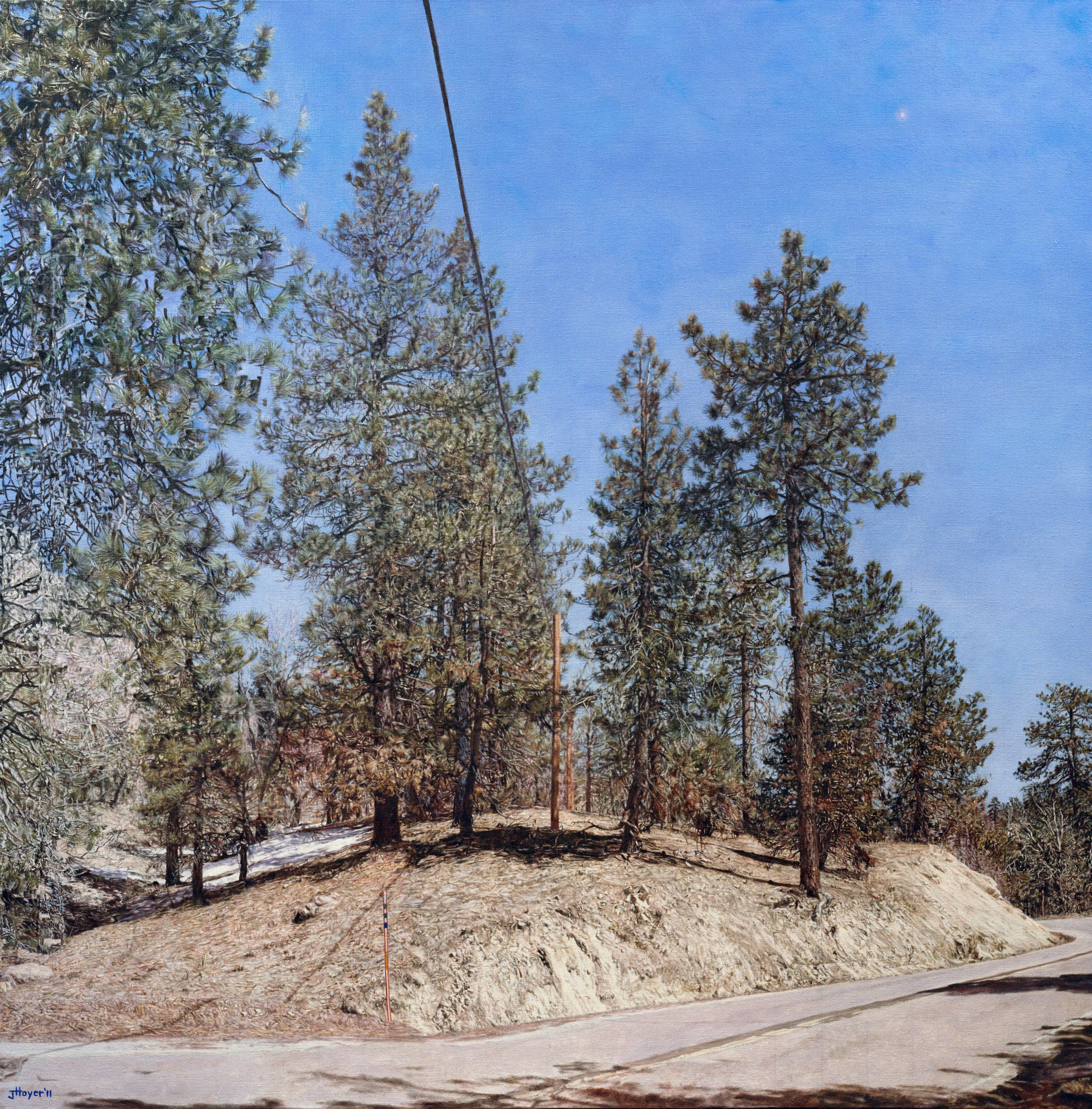   Big Bear Land Slab , 2011 Oil on linen 47.1 in X 47.9 inches 