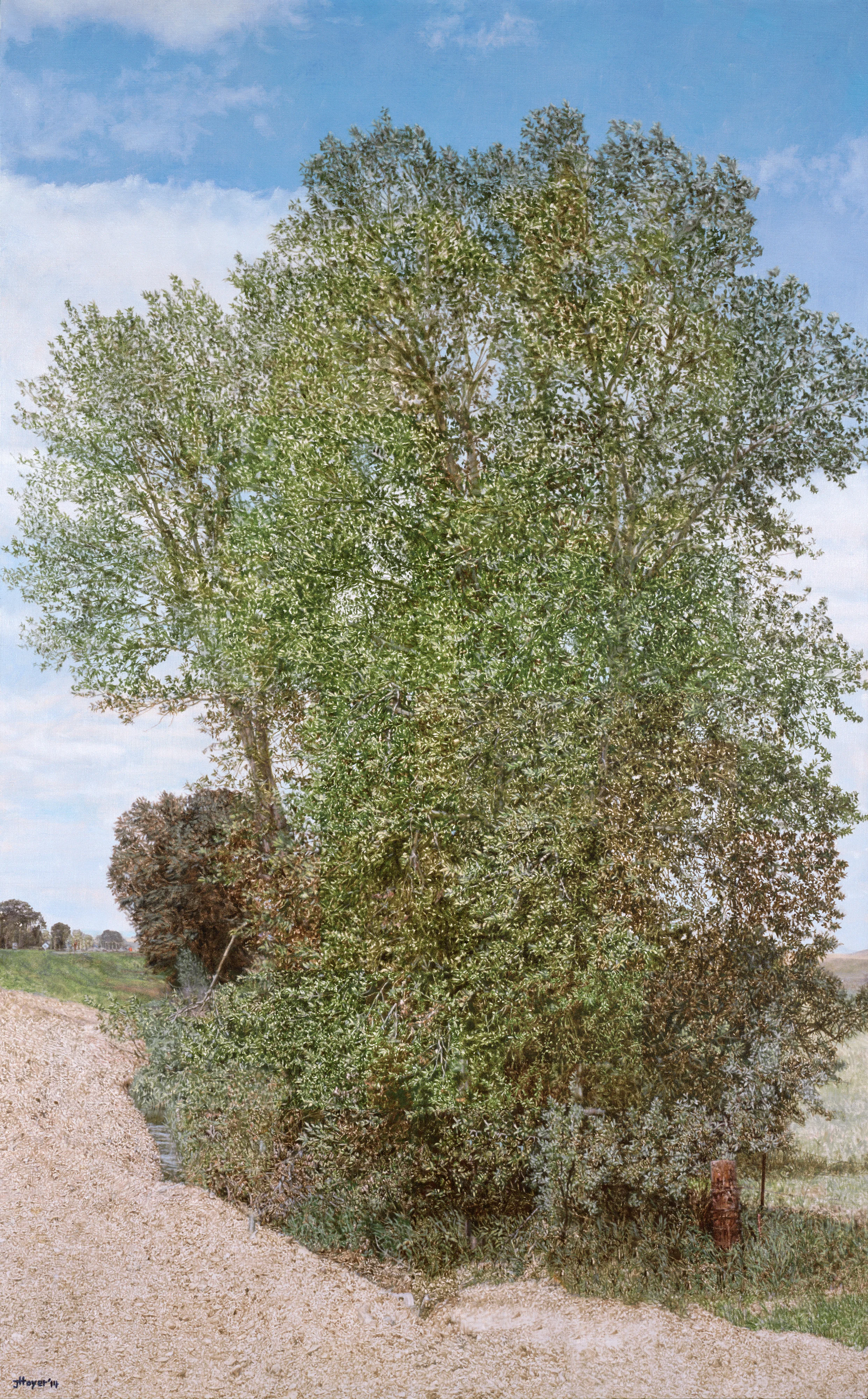   Montana Detour Tree, &nbsp;2014 Oil on linen 60.6 x 37.9 inches 