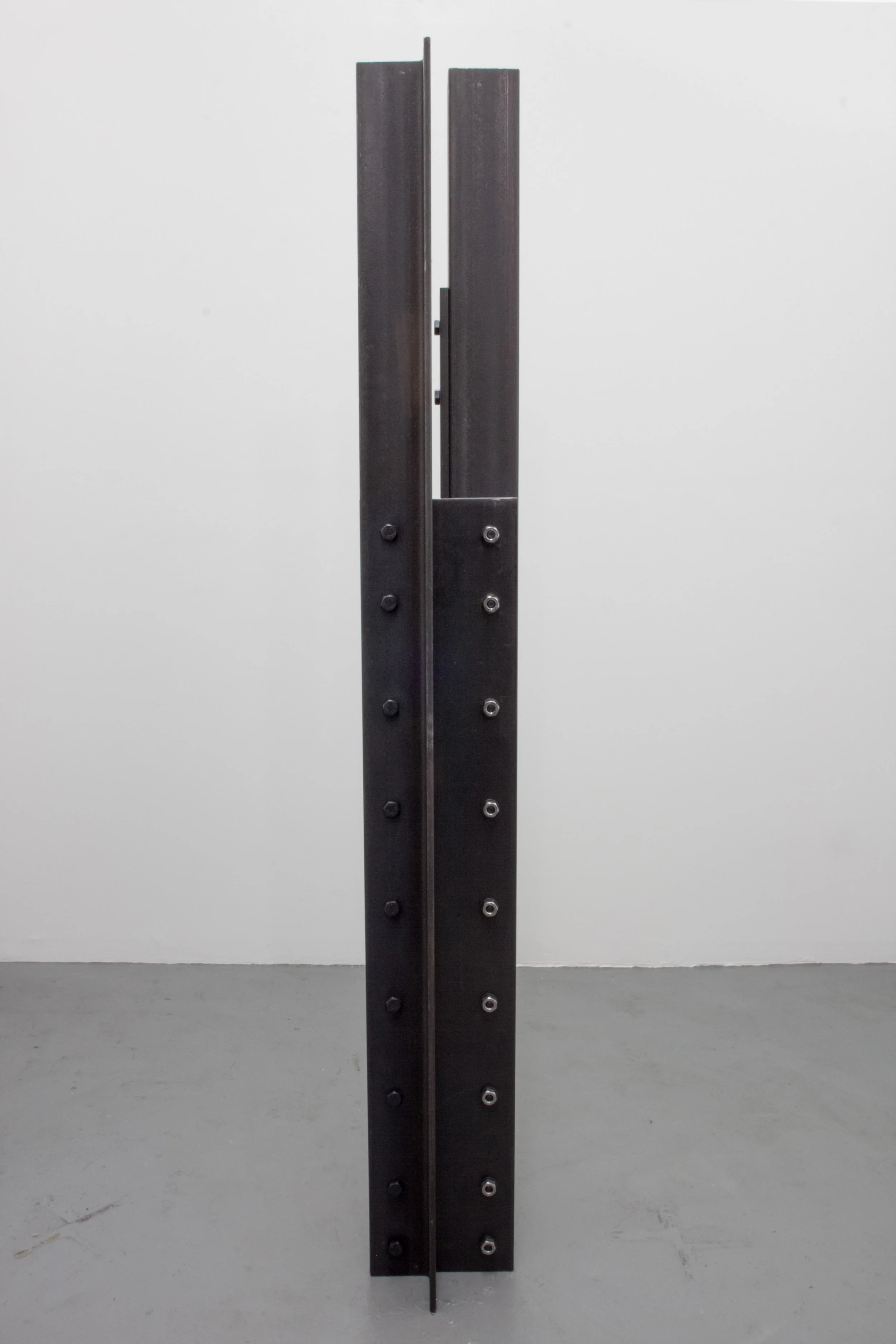 No One To Talk About Failure With , 2015 Steel, hardware 72 x 12 x 12 inches