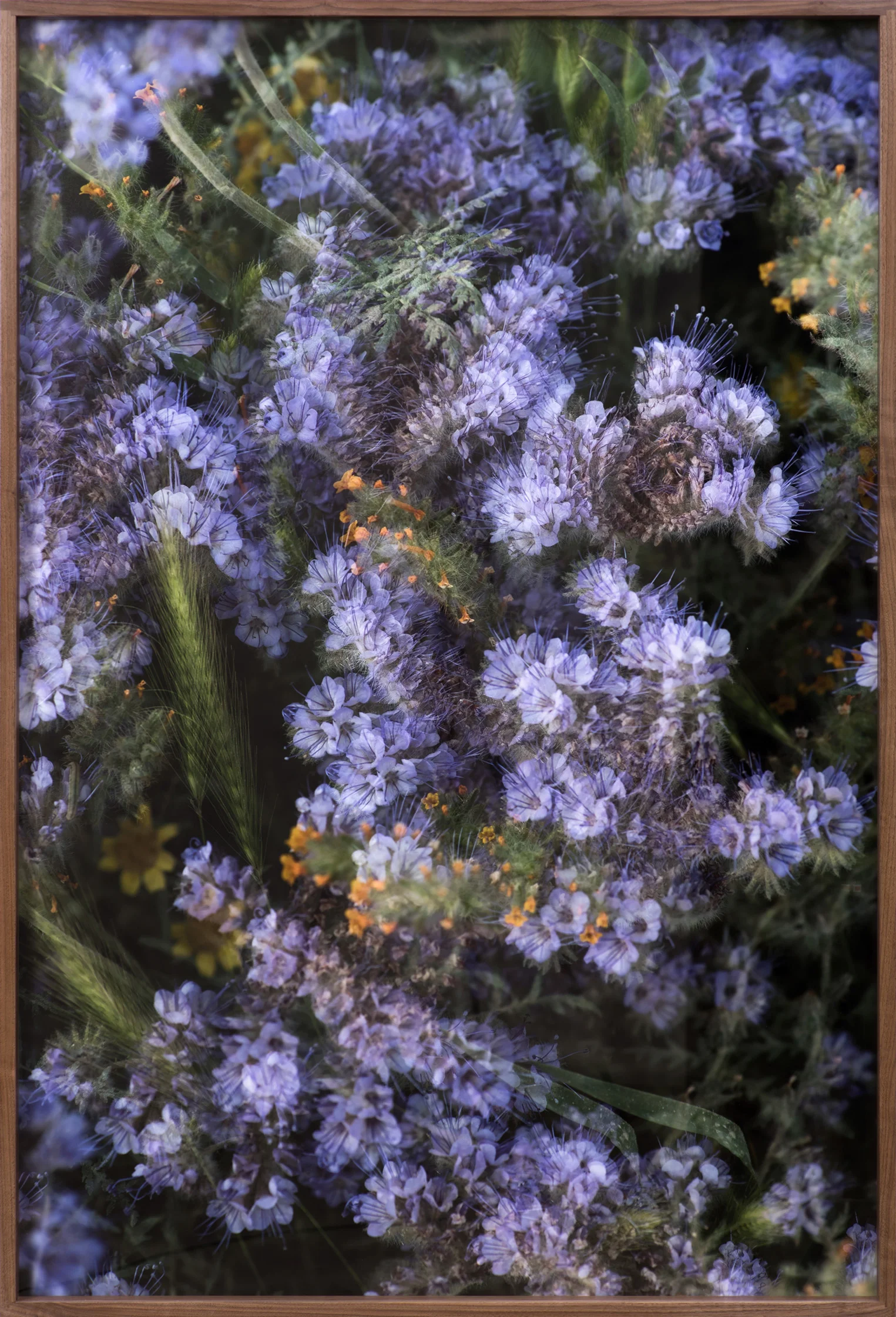 Adam Moskowitz Counterform Spiral III , 2017 Archival pigment print 60 1/2 x 40 1/2 x 3 inches (framed)