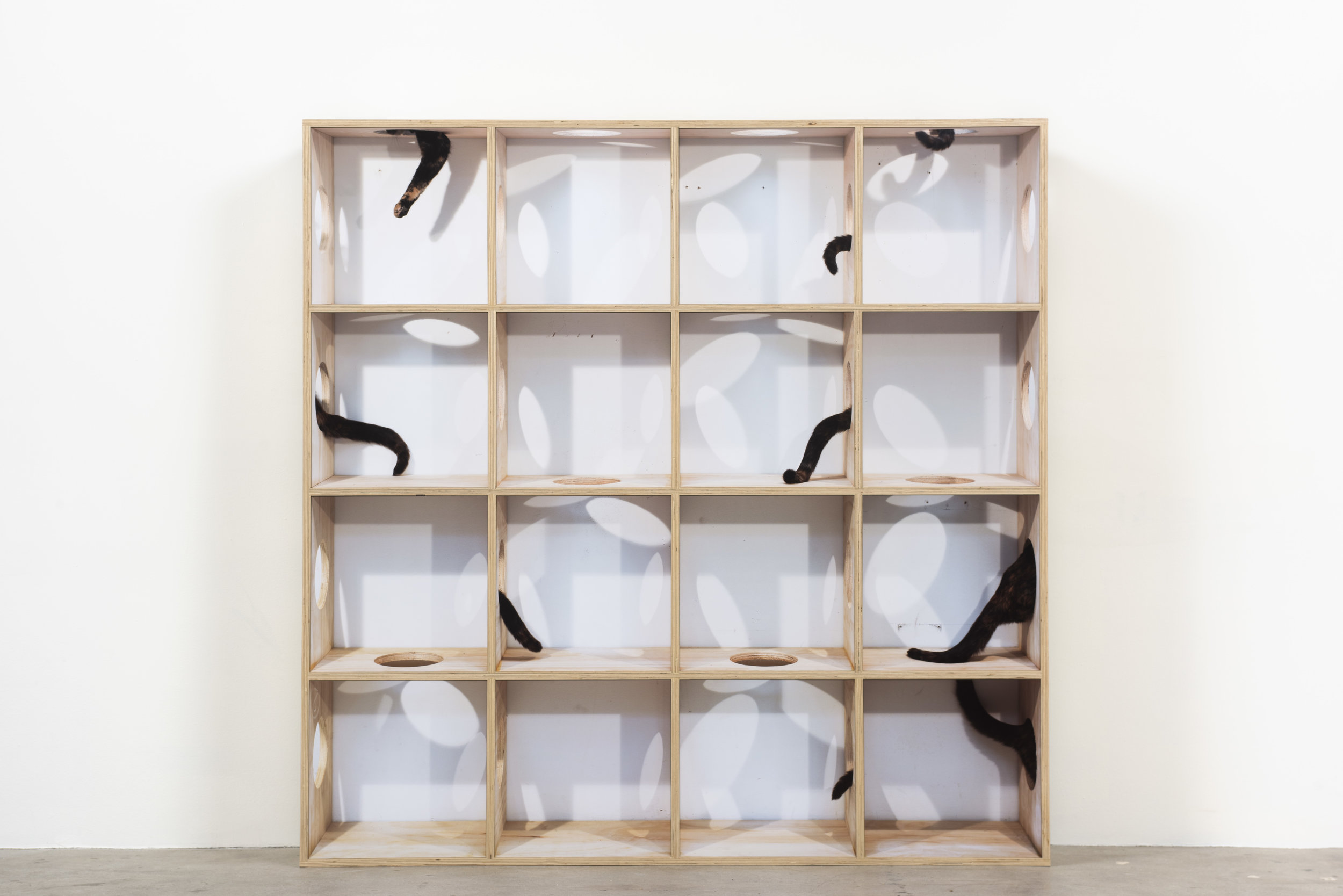   Disappearing Act , 2019  Archival pigment prints and wood  64 x 64 x 10 inches      