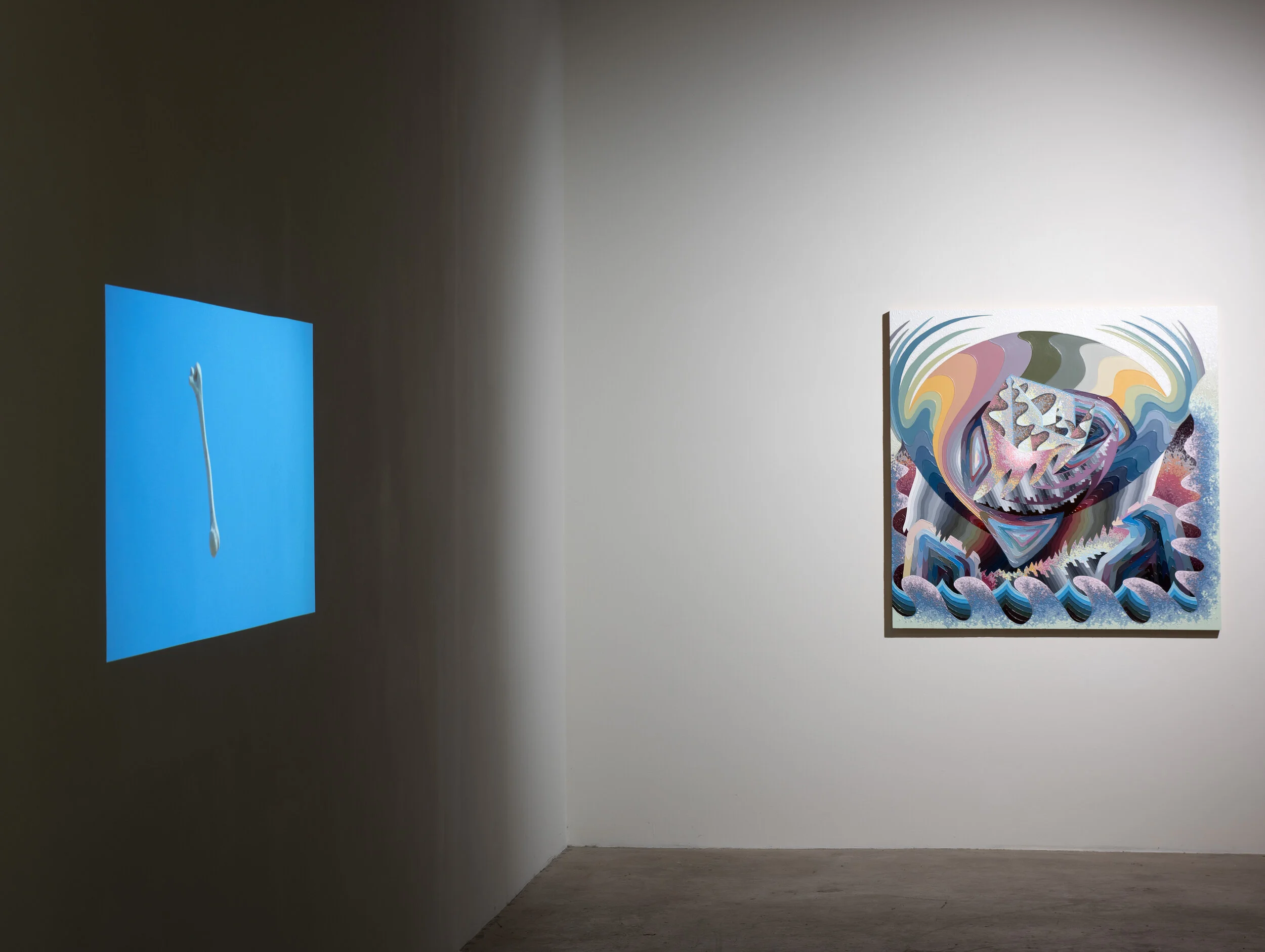 Grammars of Creation