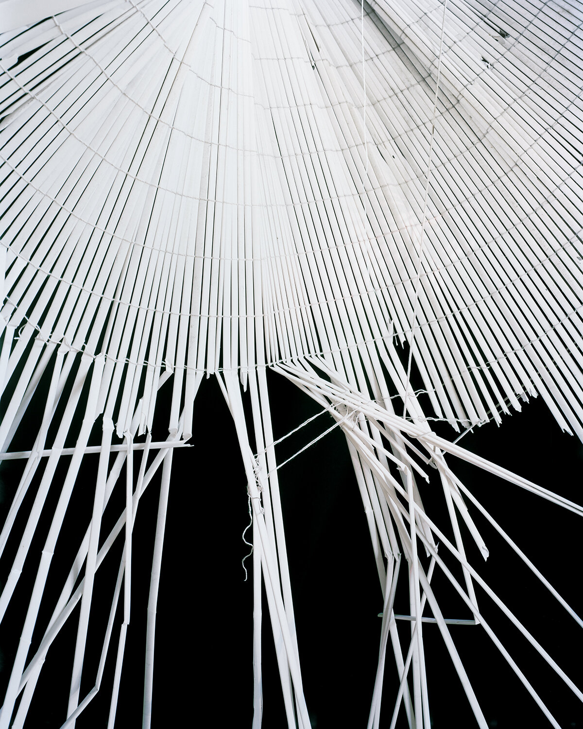   Shade , 2013 Archival pigment print 62 x 50 inches 