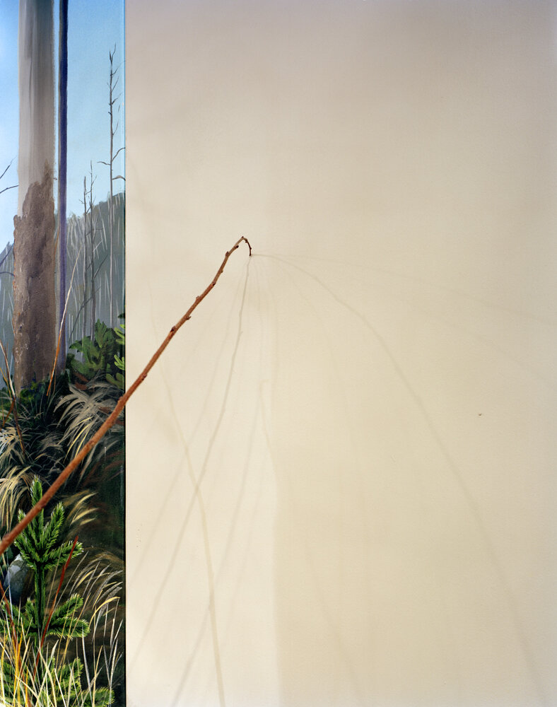   Stray , 2010 Archival pigment print 40 x 28 inches 