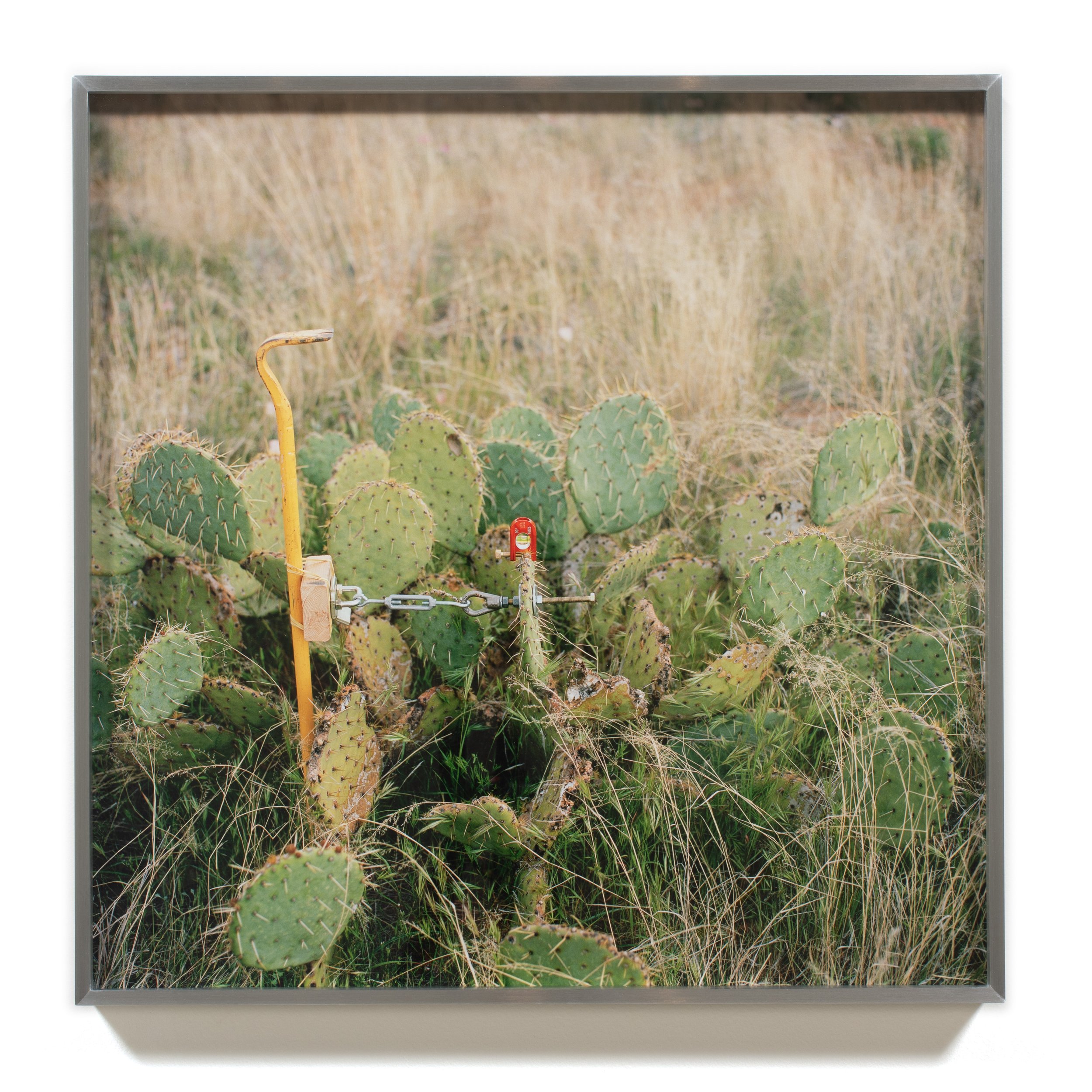  Rachael Browning  #69 03 , 2020 Archival pigment print 20 1/4 x 20 1/4 x 1 1/2 inches (framed) 
