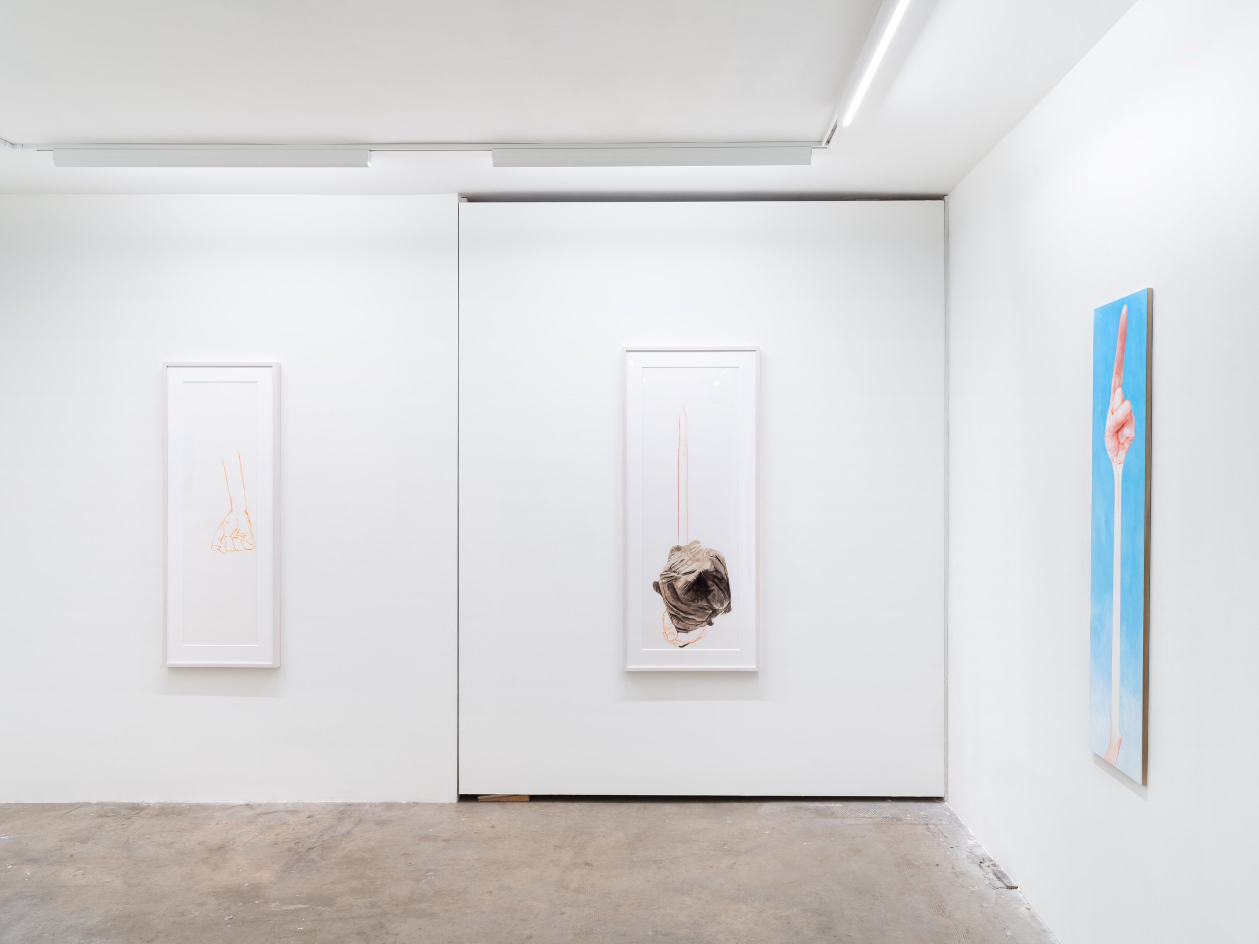 Installation_View_Robert_Feintuch_Recent_Paintings_and_Drawings_003.jpg