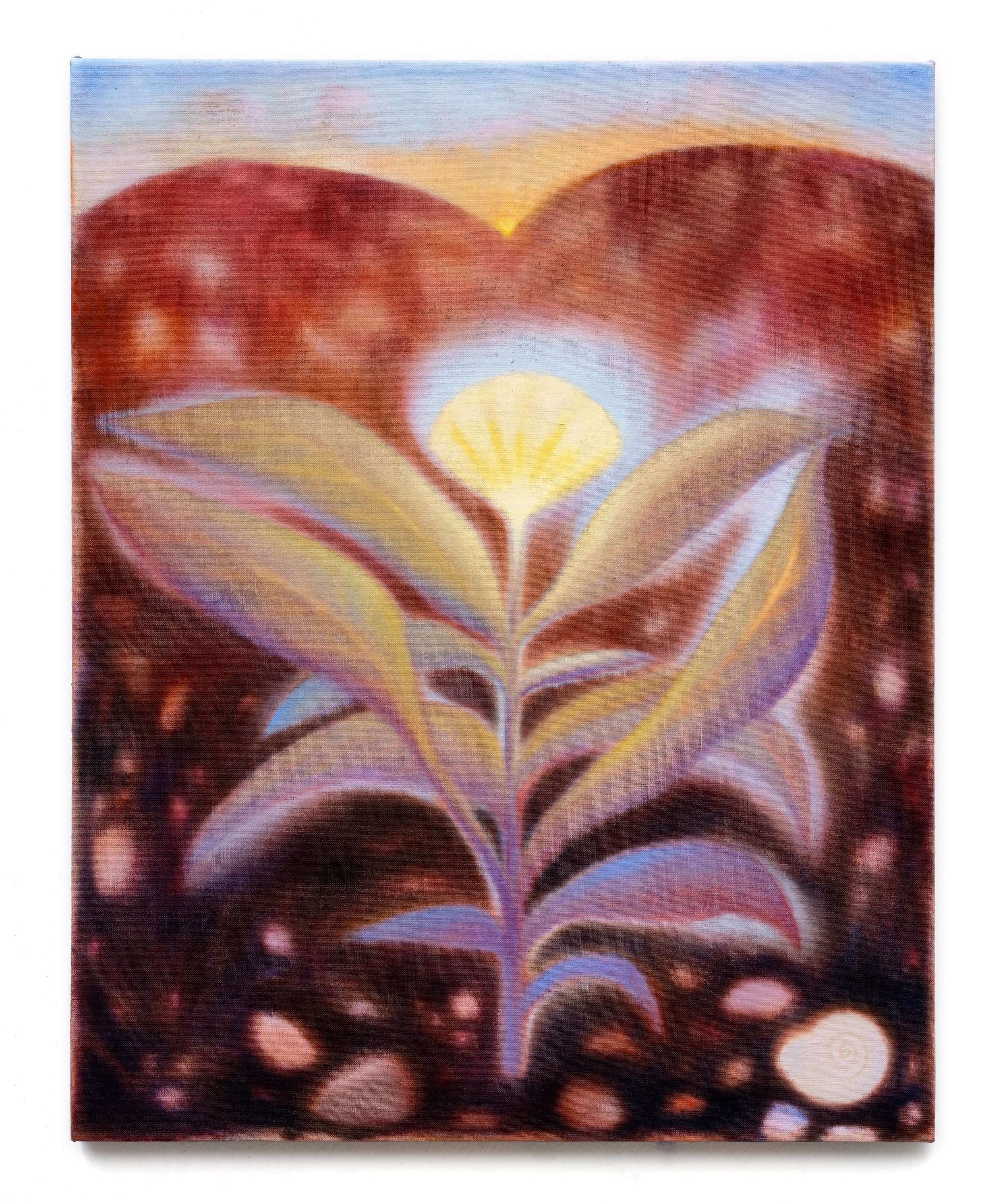  Mary Herbert  Morning Flower , 2022-23 Oil on linen 20 x 16 x 3/4 inches 