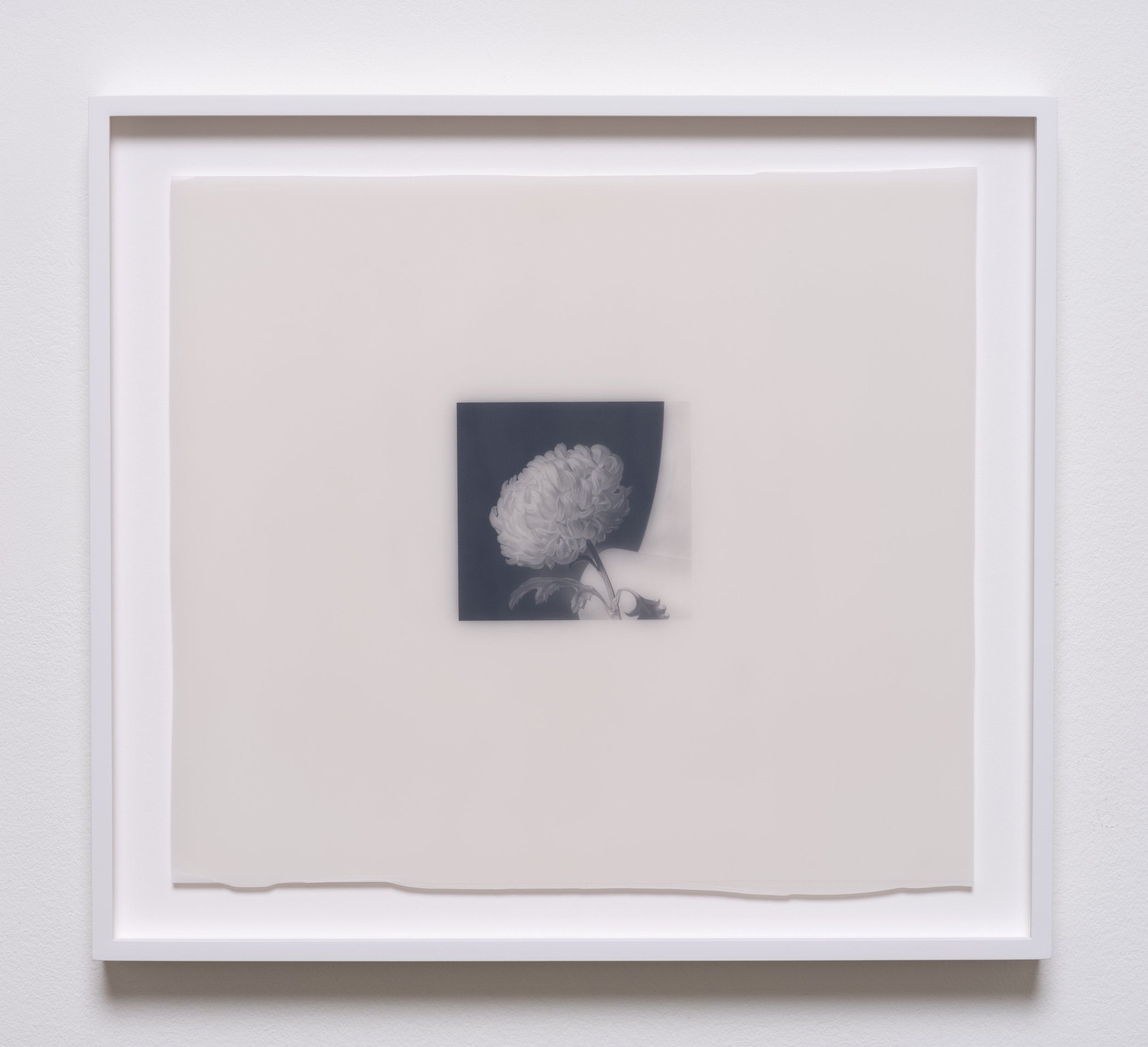   MF.1939.258.2023 , 2023 Graphite, wax, and drafting film 16 x 17 1/2 x 1 1/2 inches (framed)&nbsp; 