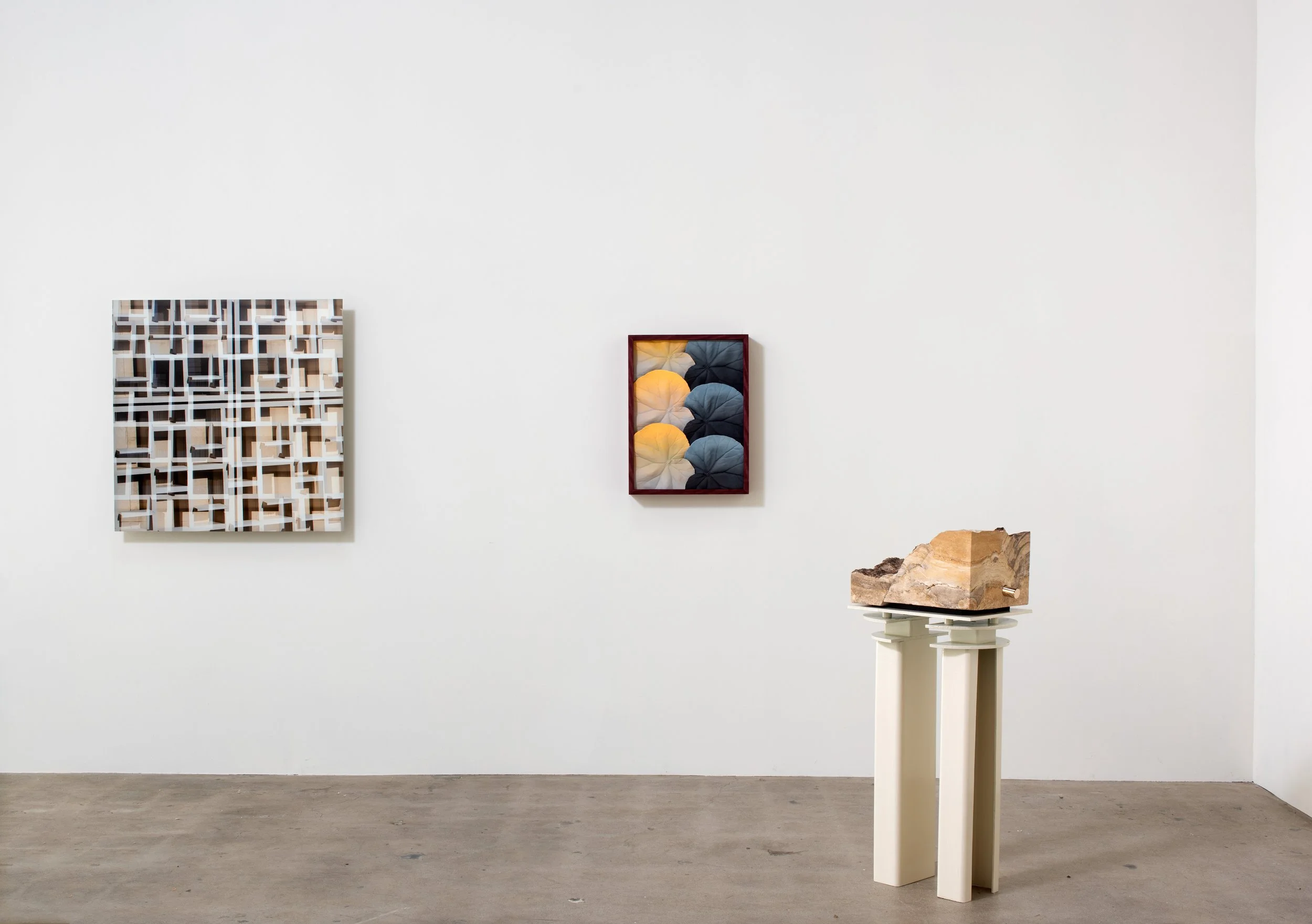 Grammars of Creation