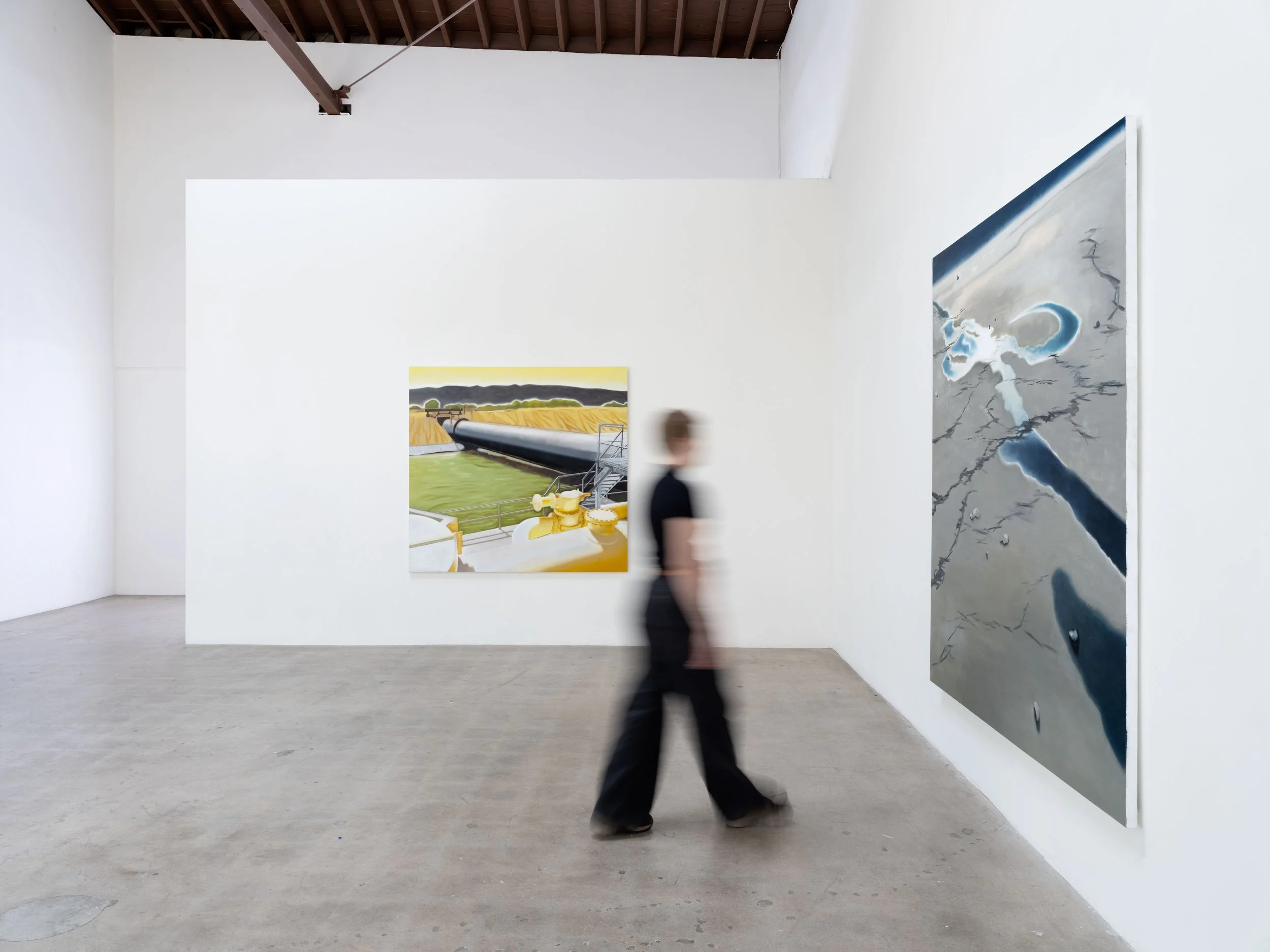 Installation_View_Luke_Rogers_Coughing_in_the_pipes_016.jpg